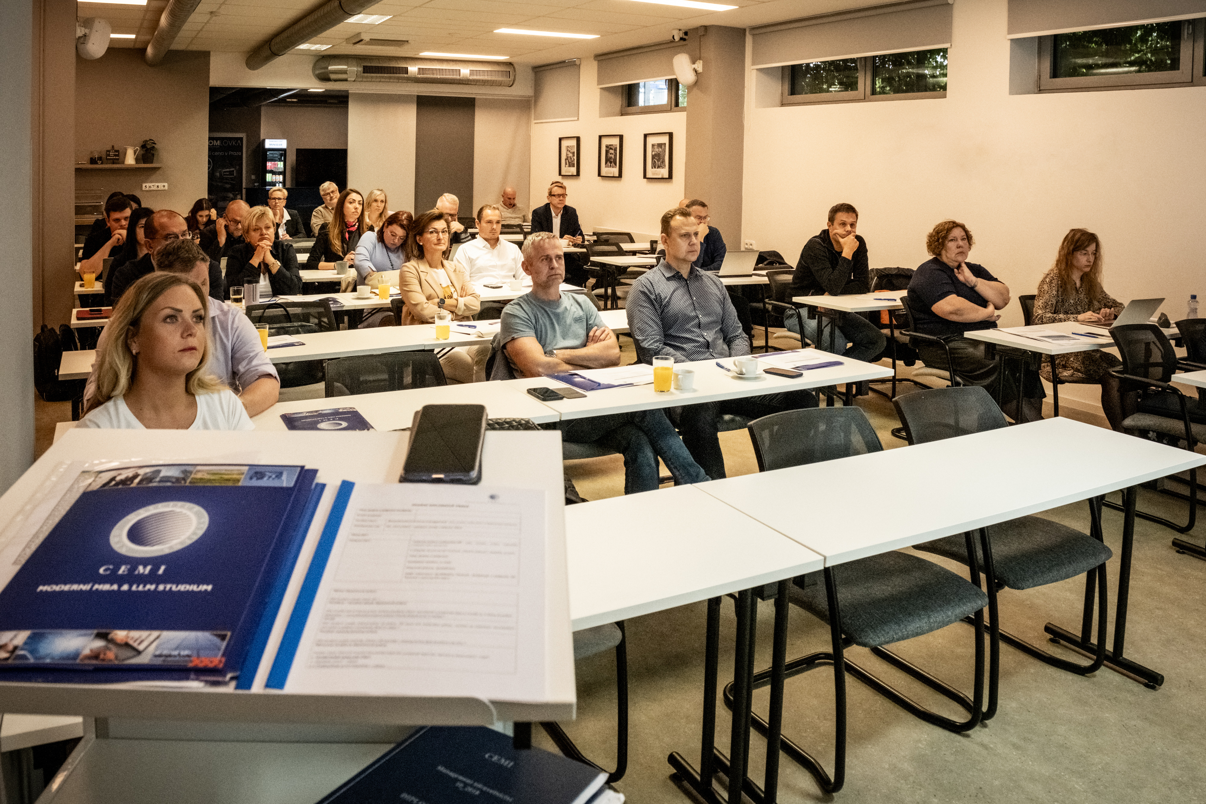 MBA institut CEMI (Central European Management Institute) foto 6