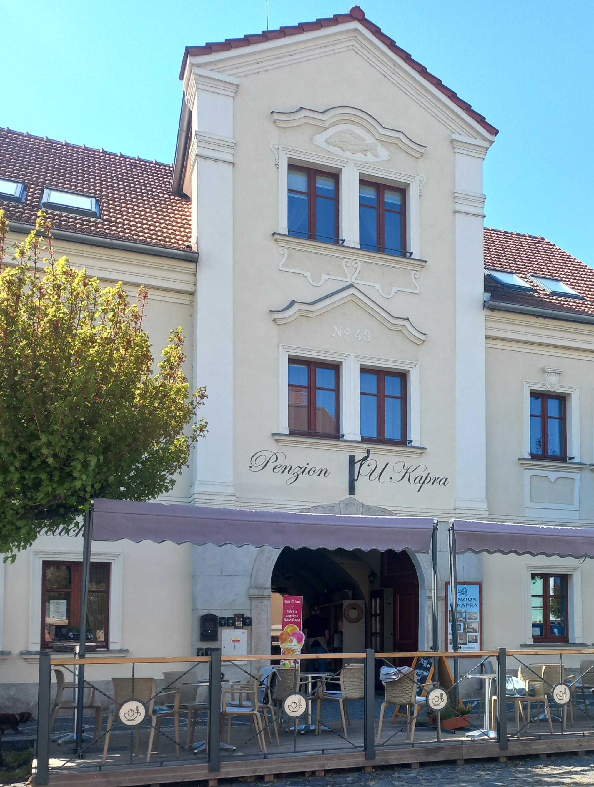 Café Vidlička foto 5