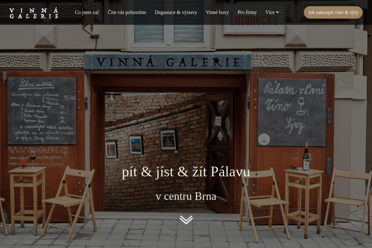Vinnagalerie.cz