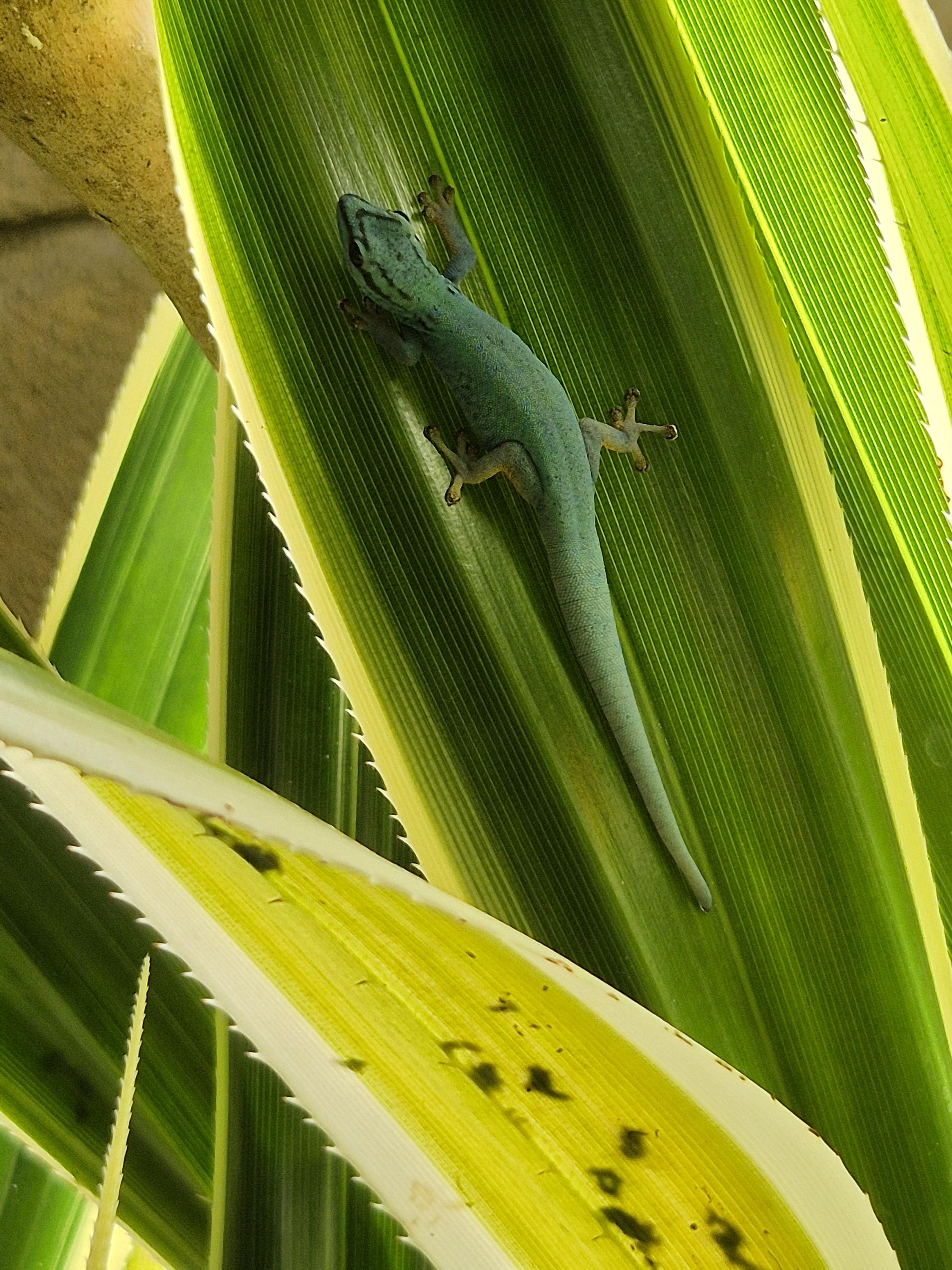 Zoologická zahrada a botanický park Ostrava foto 2