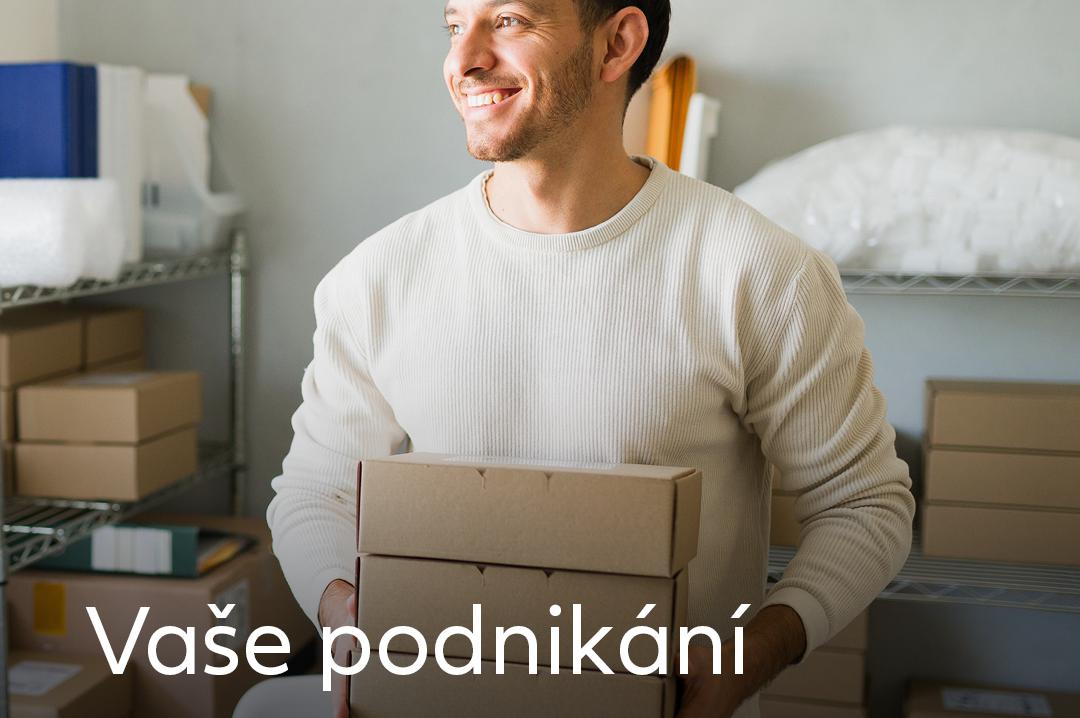 Pojištění podnikání