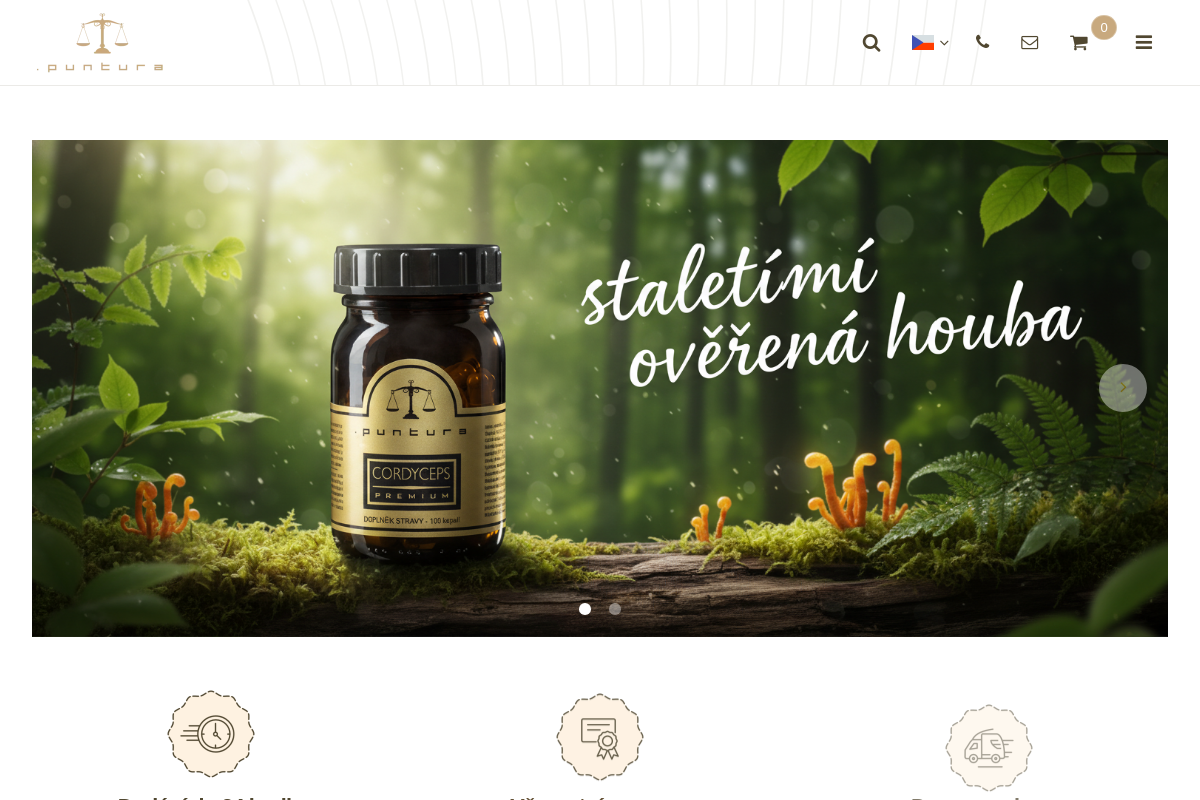 Puntura.cz