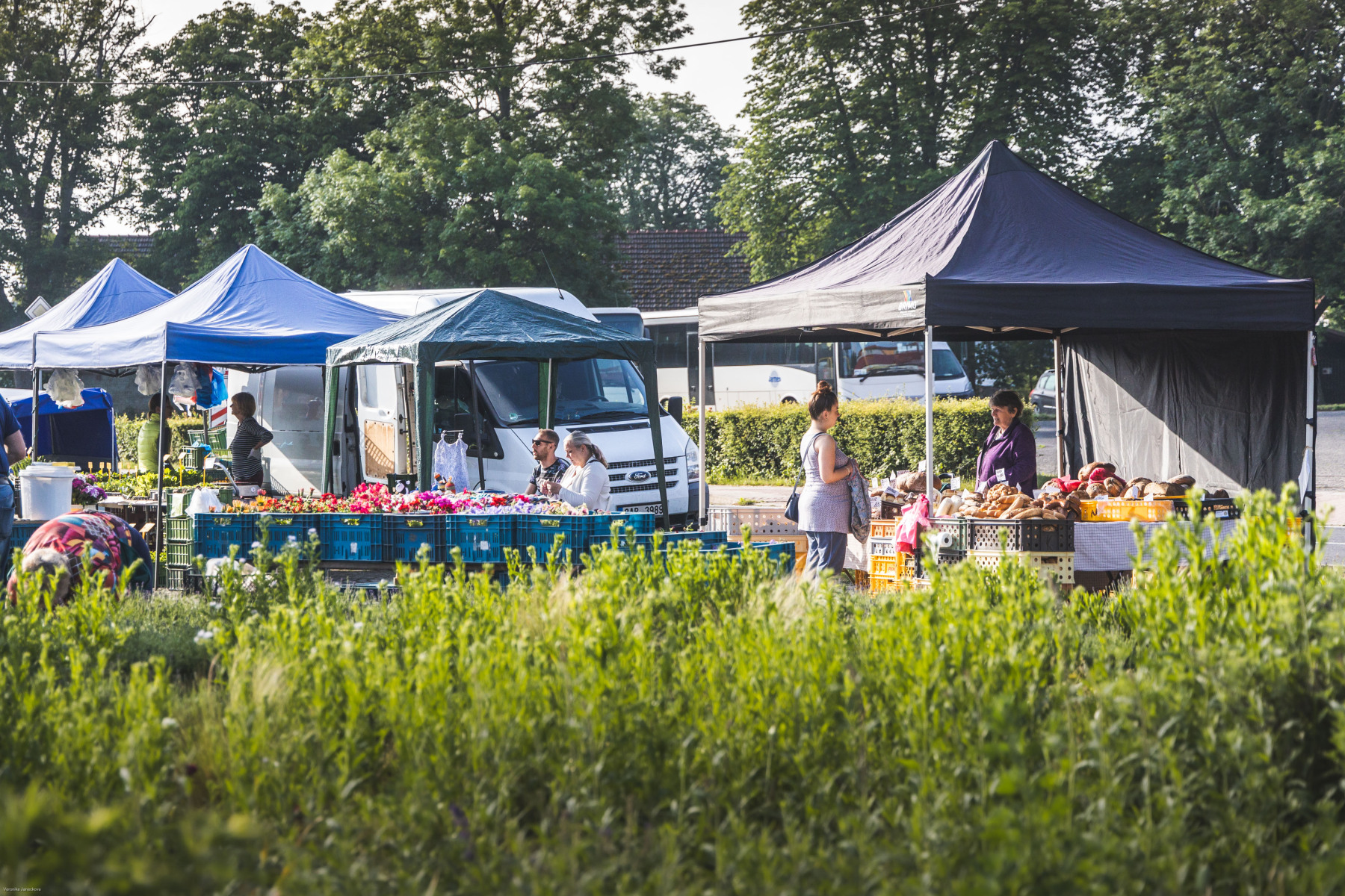 Polabské trhy Milovice