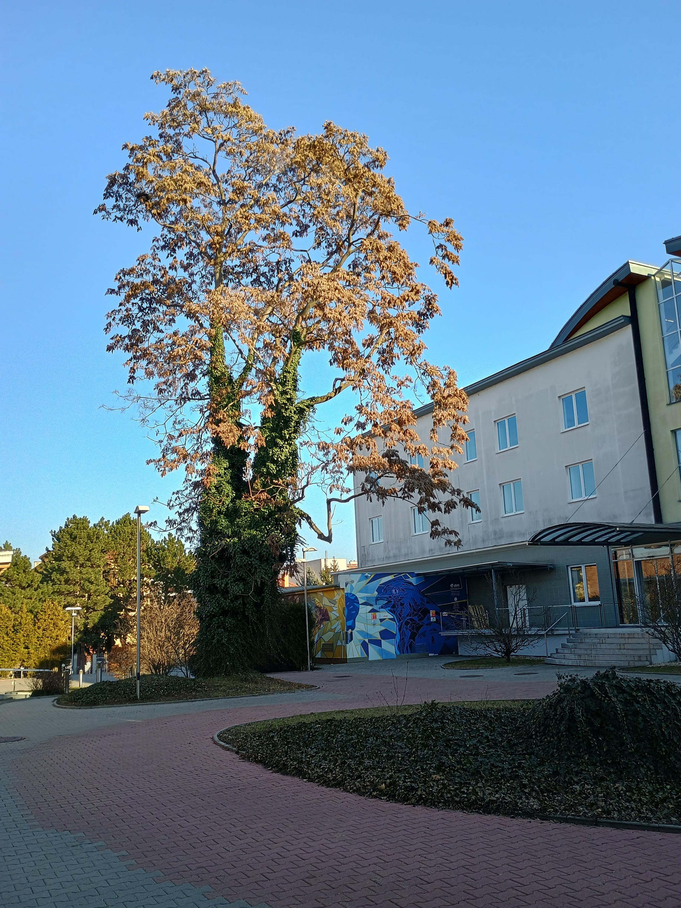 EG.D, s.r.o. foto 4