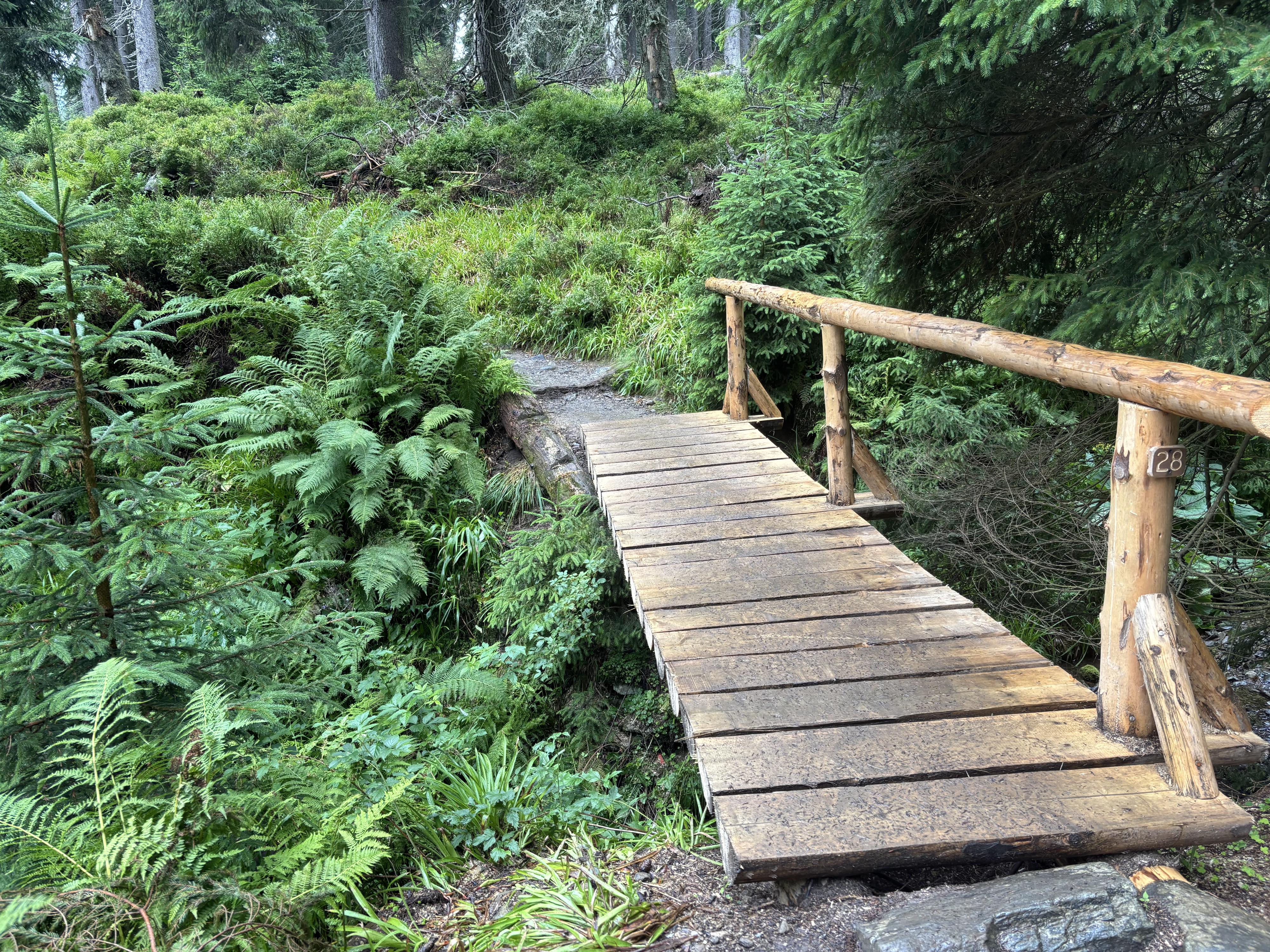 Psychologické poradenství