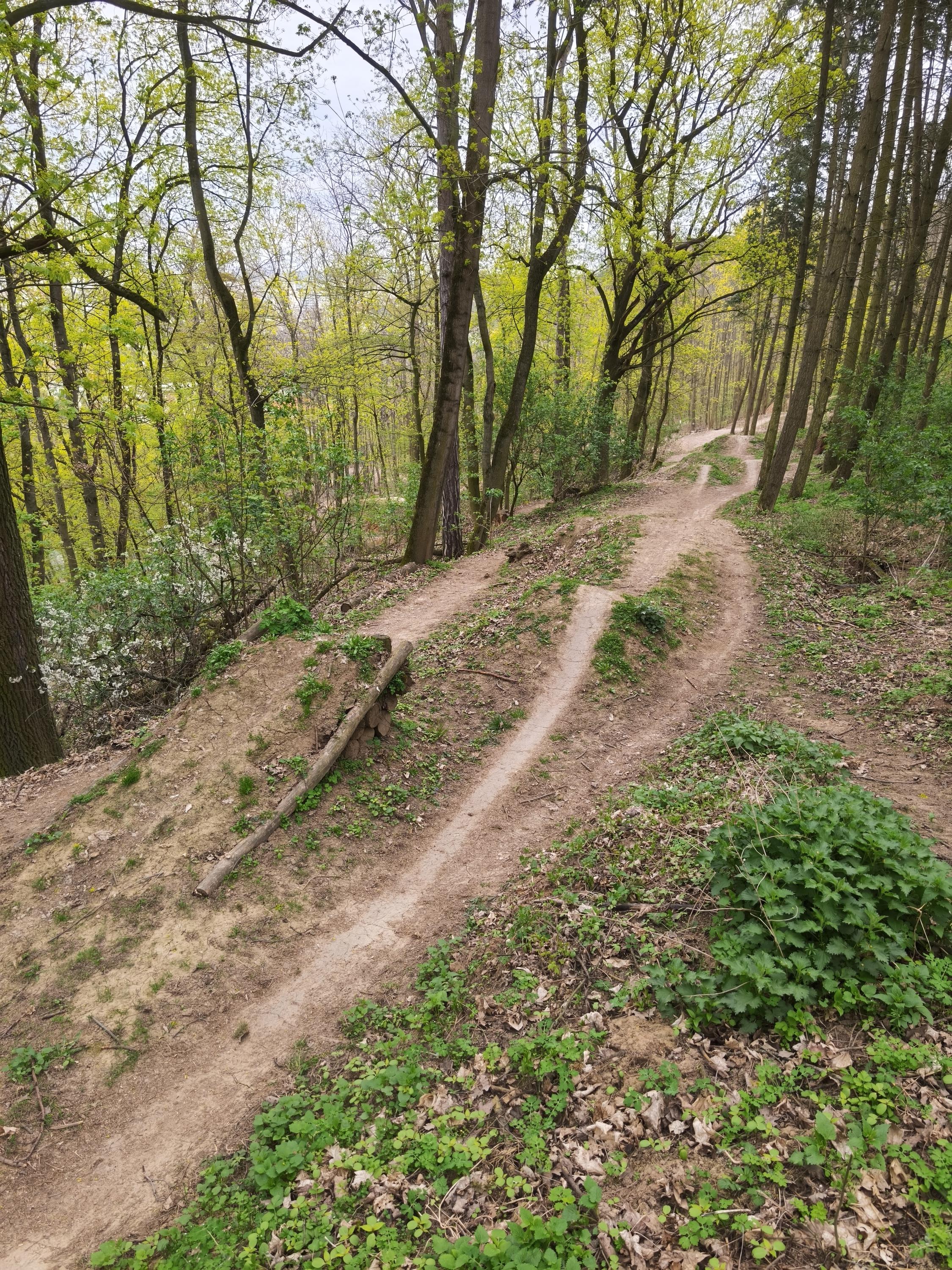 BAN Bike Arena Netro foto 4