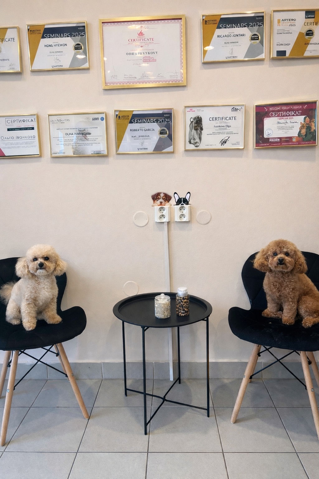 Psi salon Royal foto 6