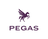 logo logo PEGAS CZ