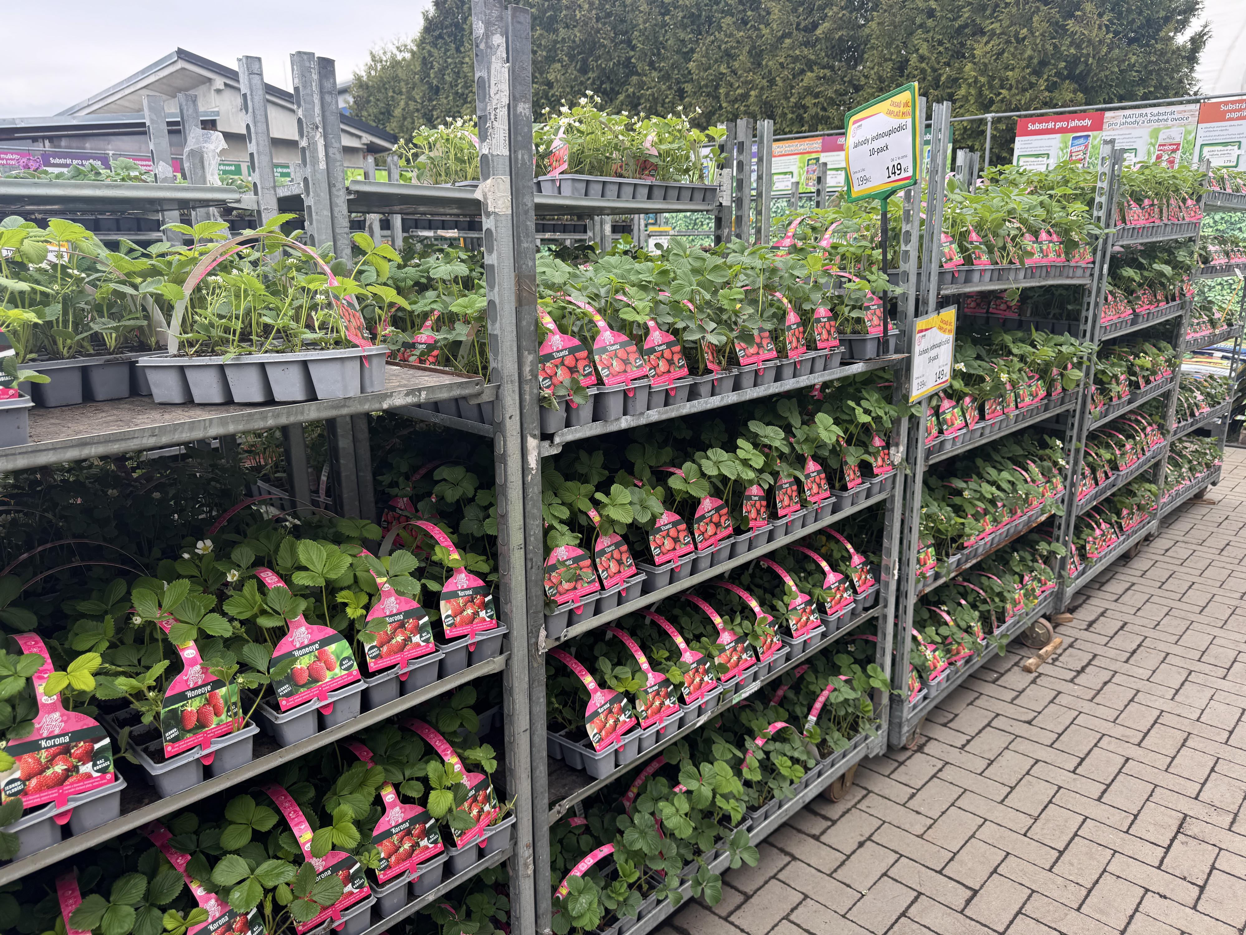 GardenMarket, s.r.o. foto 2