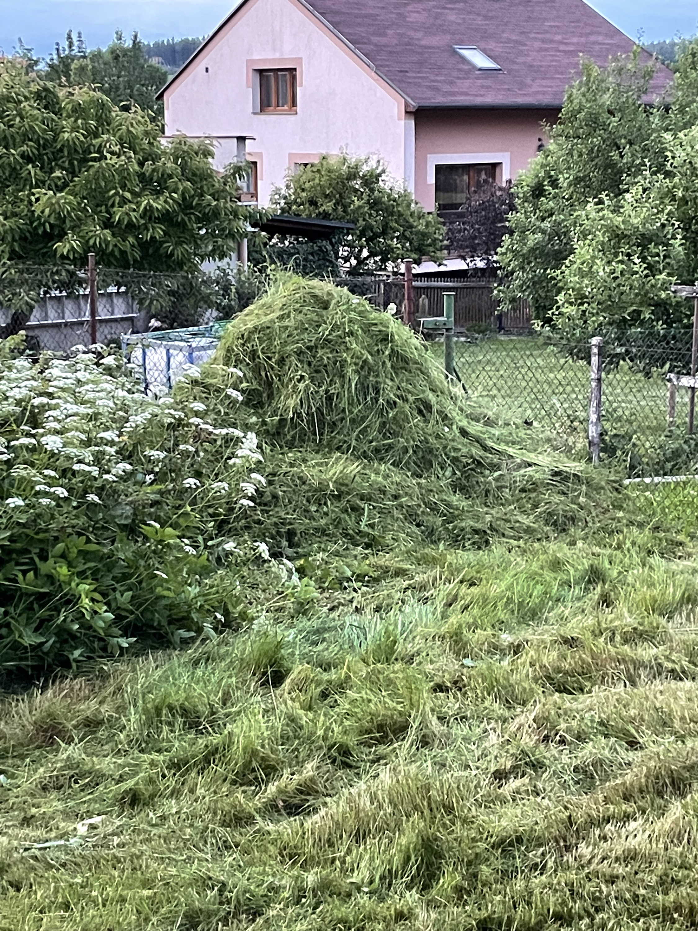 Dr. Trávník - Standa Mikota foto 3