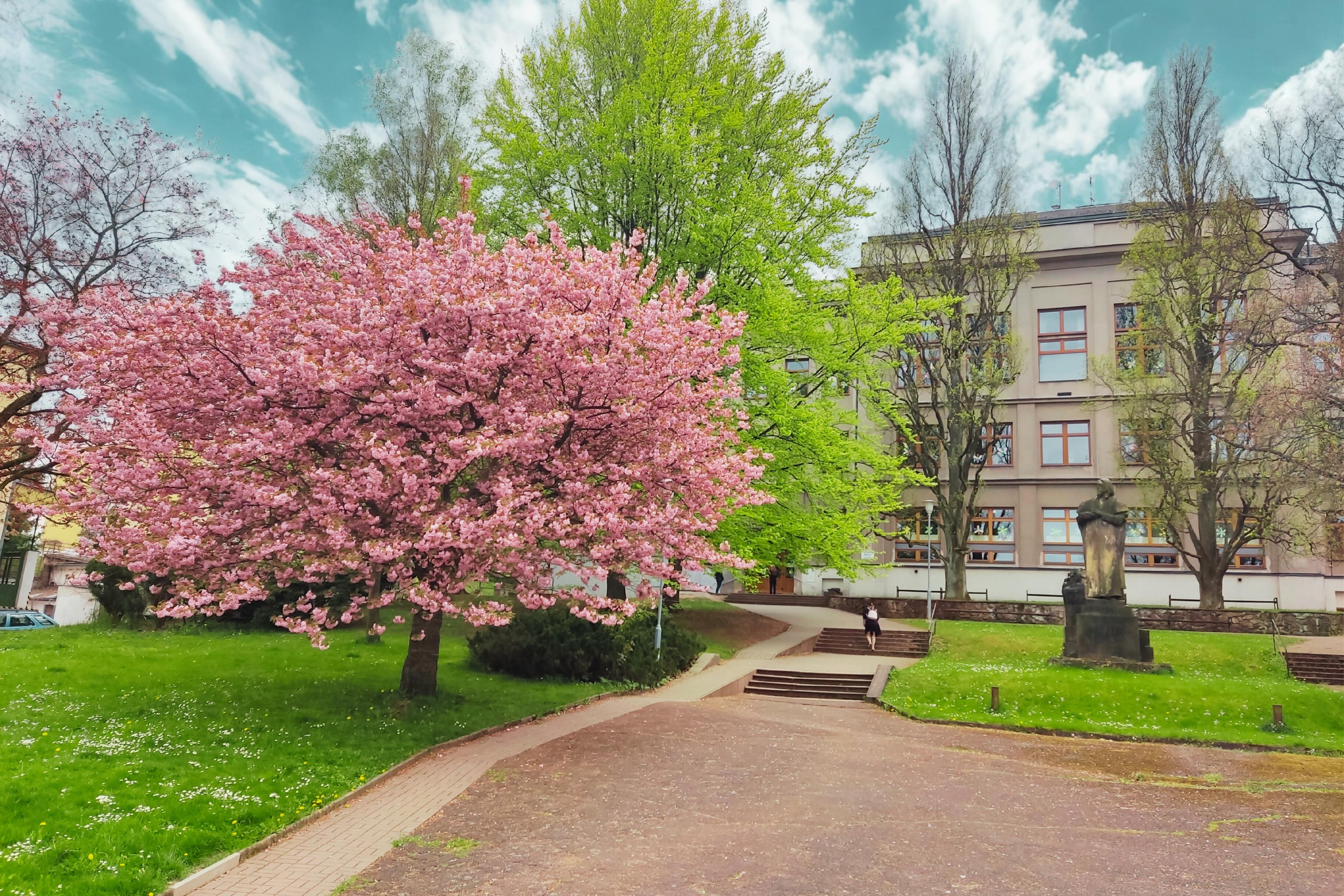 Základní škola Nová Paka, Komenského 555