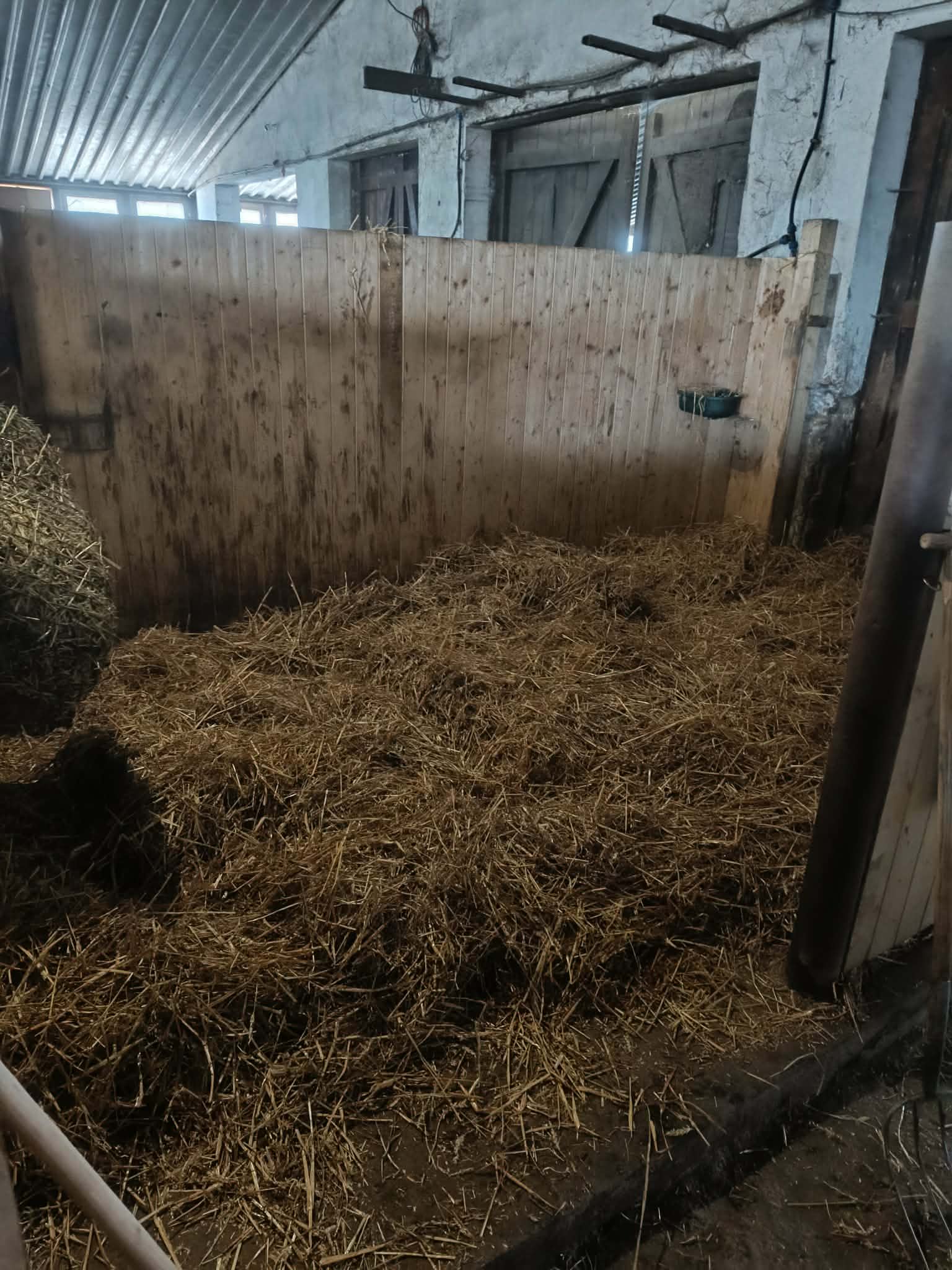 Dobrá stáj Želešice foto 2