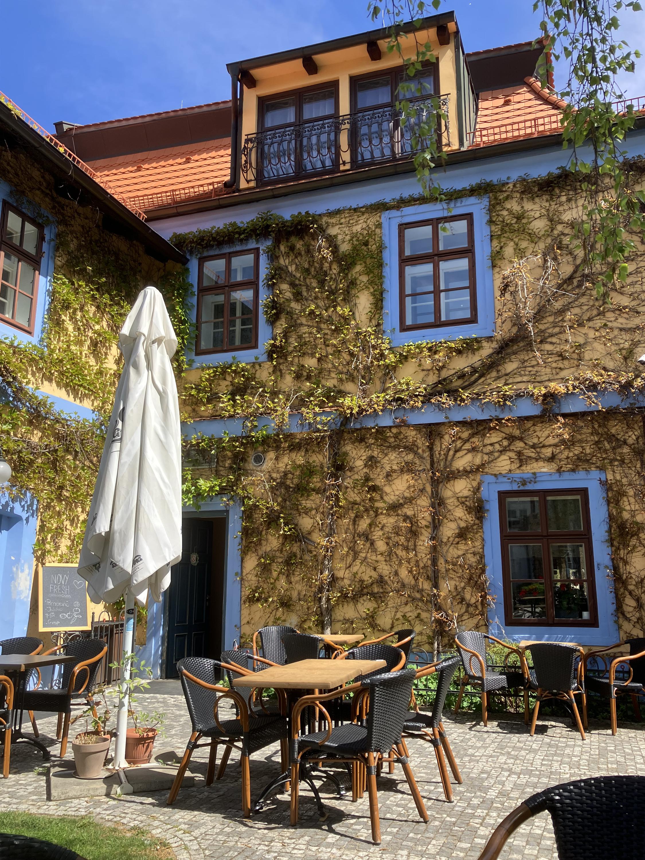 Cafe Modré dveře foto 3