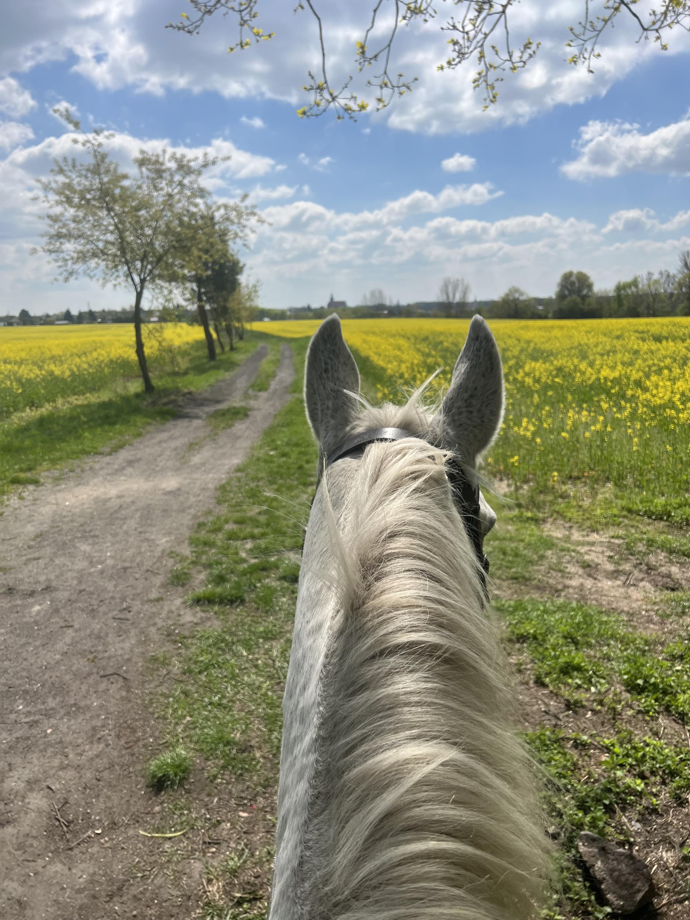 Staroboleslavský Dvůr foto 4