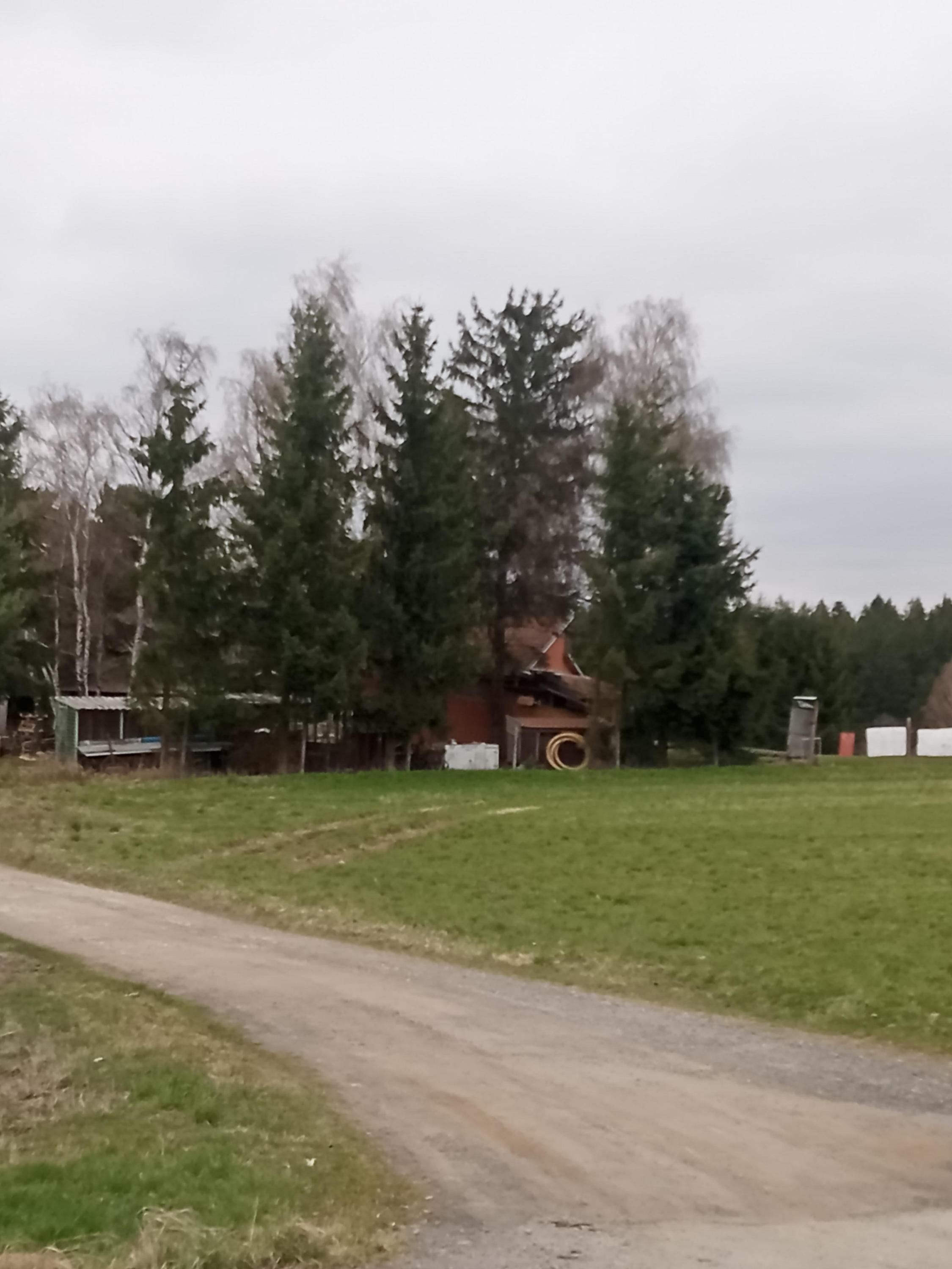 Moravskoslezský kynologický svaz, Kynologický klub Bystřice nad Perštejnem foto 1