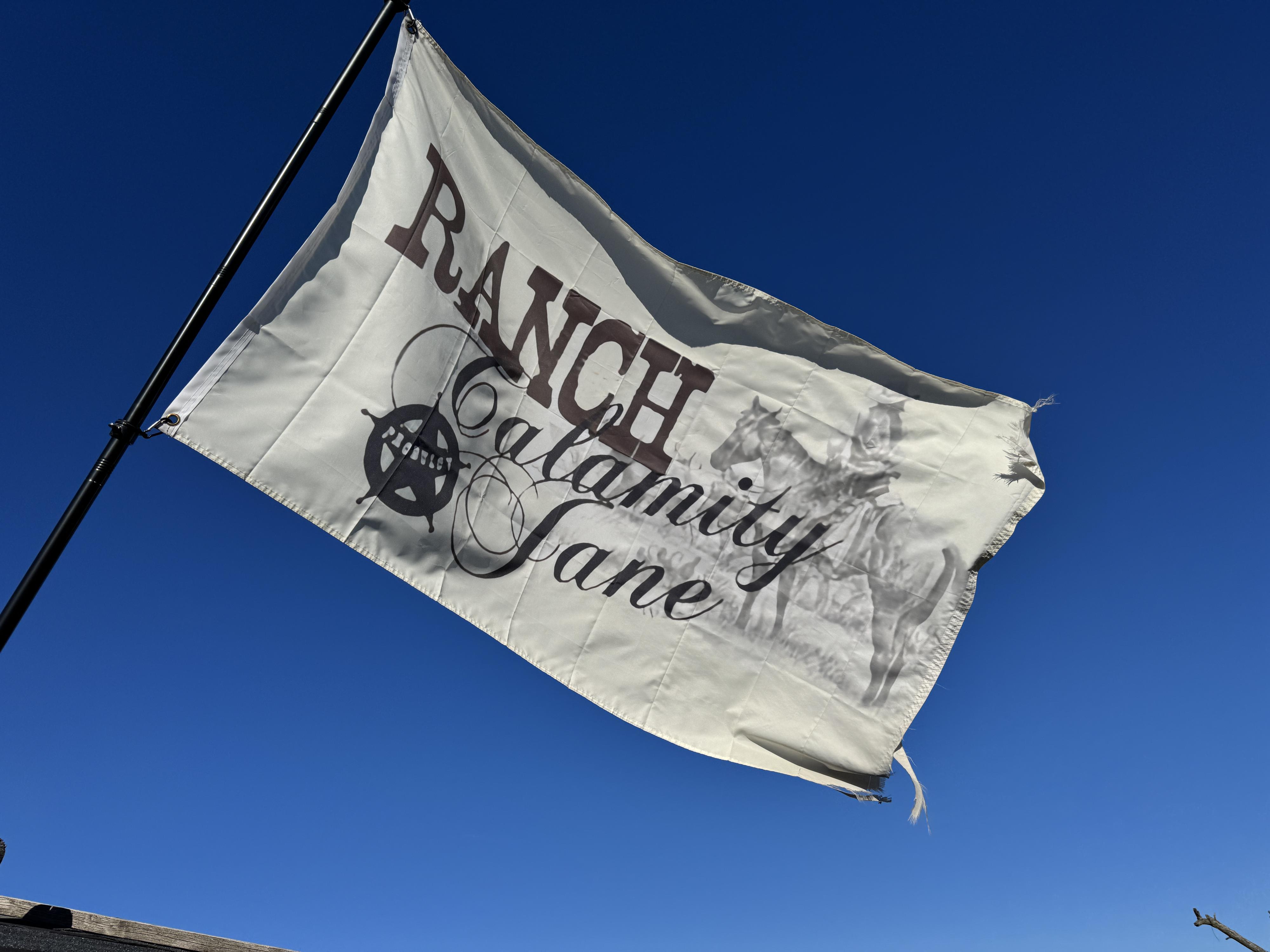 Hiporehabilitace Calamity Jane z.s. foto 4