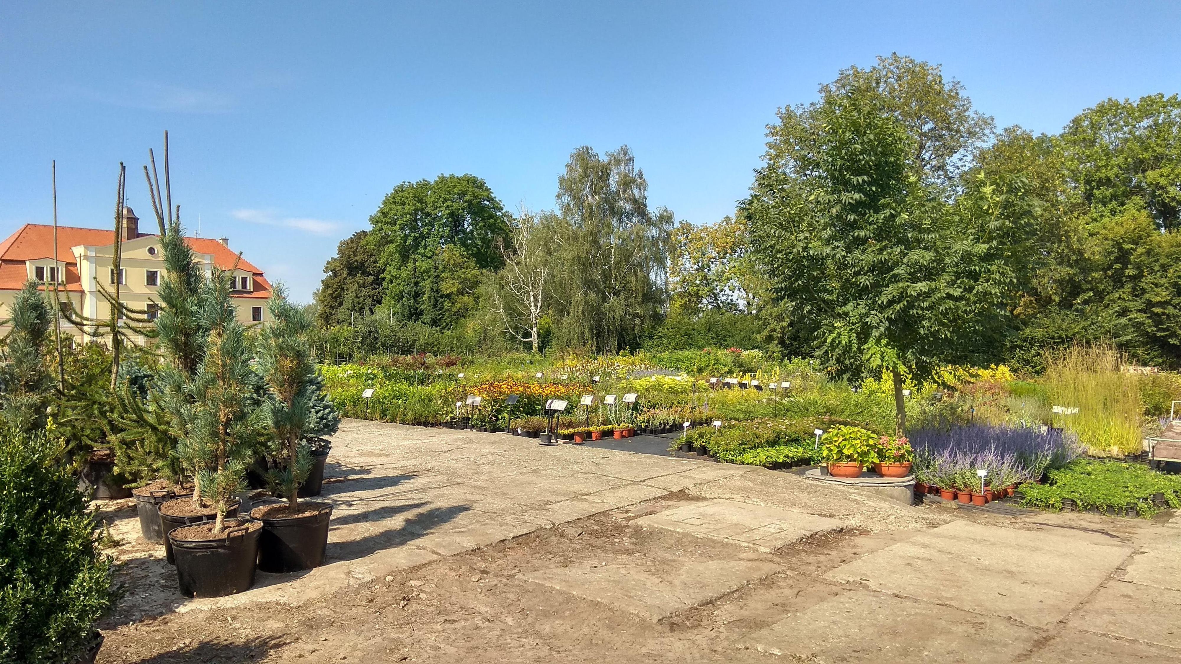 Wieder - okrasná školka foto 2