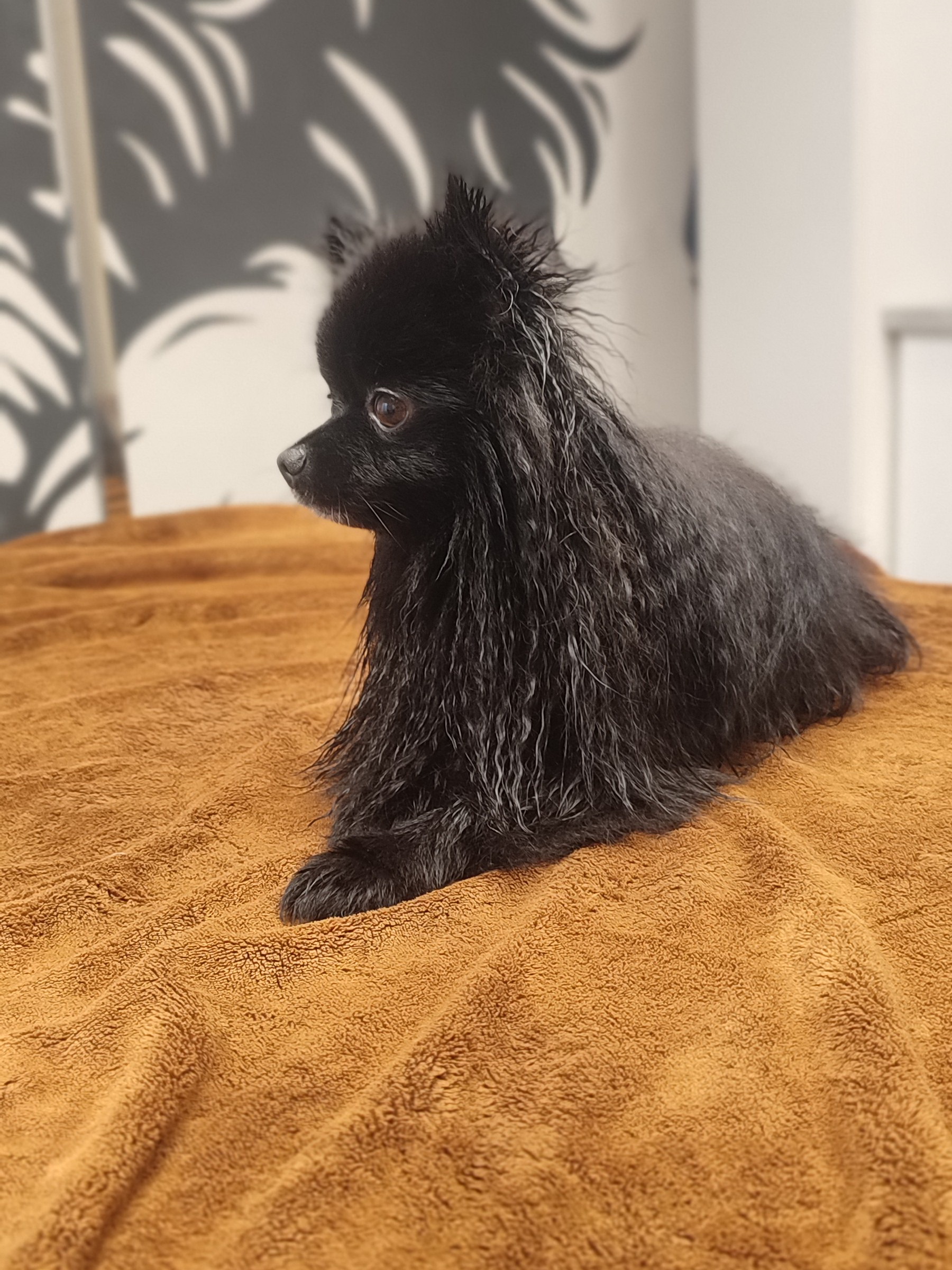 Koupání s ozonoterapií a hydromasáží