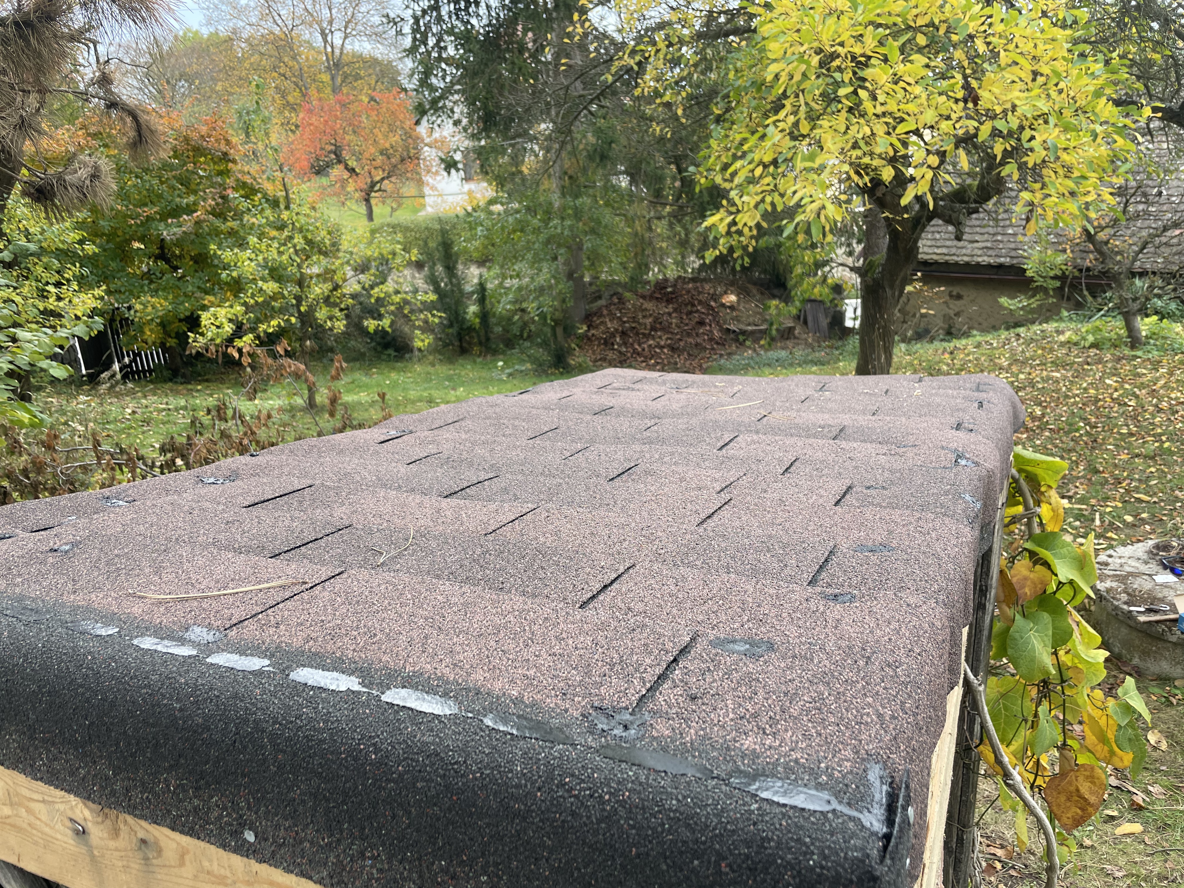 Dr. Trávník - Standa Mikota foto 2