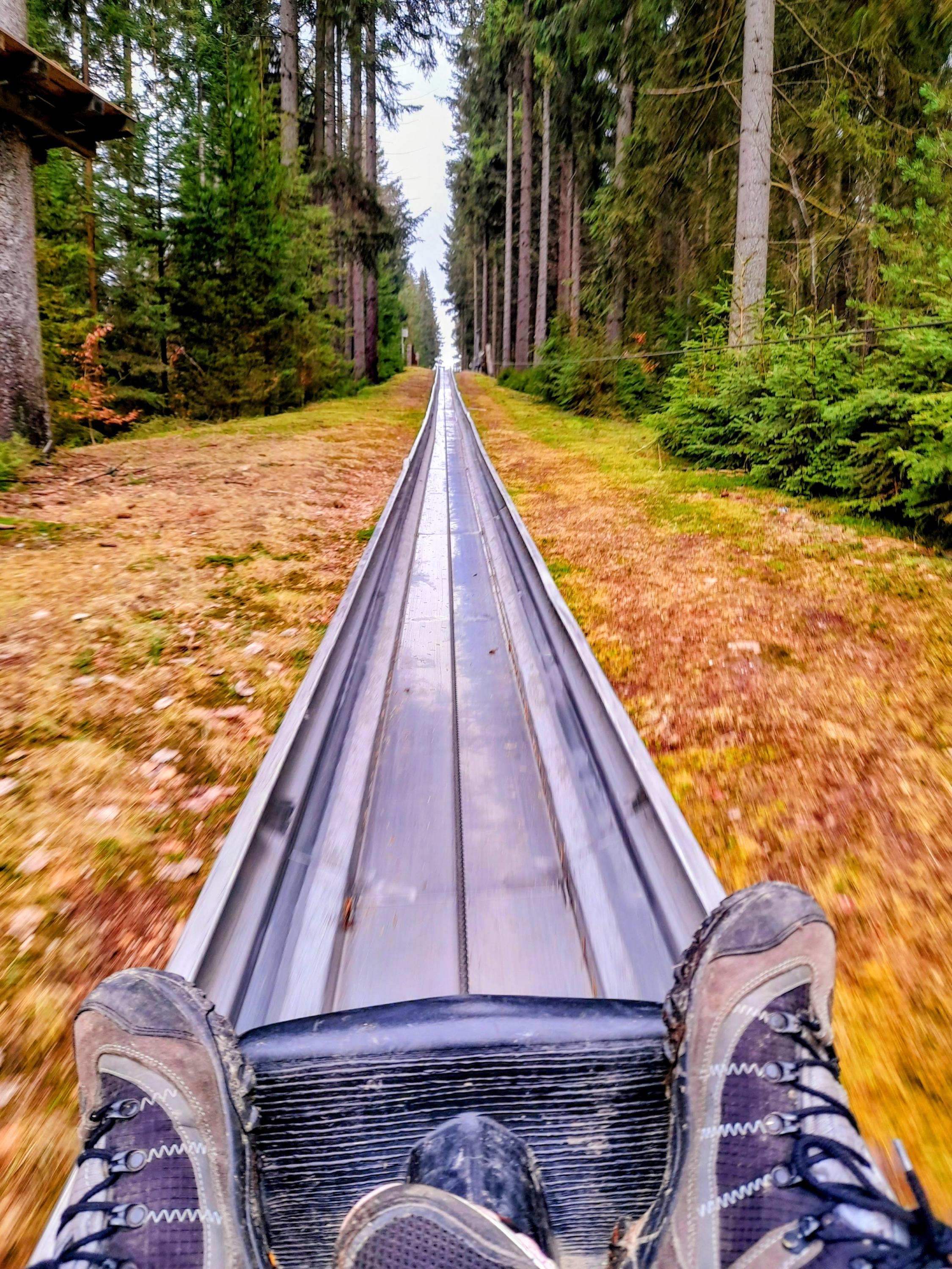 BOBOVÁ DRÁHA HARRACHOV foto 4