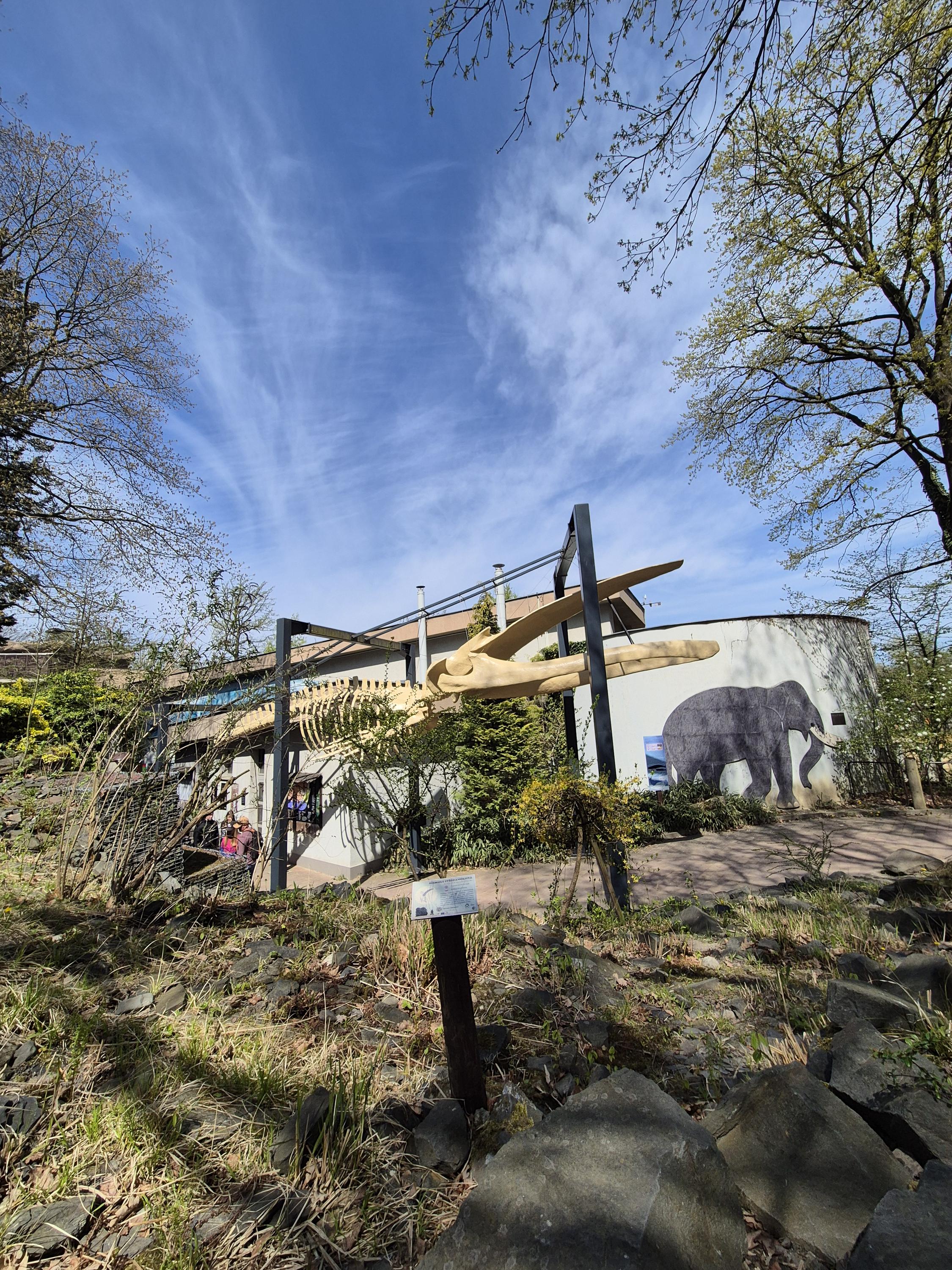 Zoologická zahrada a botanický park Ostrava foto 4