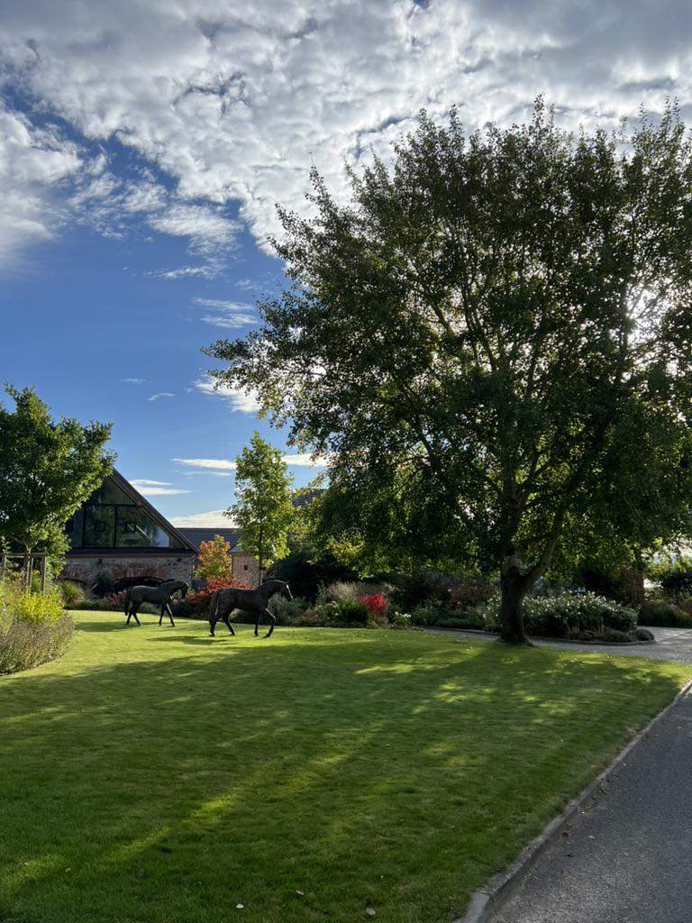 HORSE PARK KAMENNÝ DVŮR foto 2