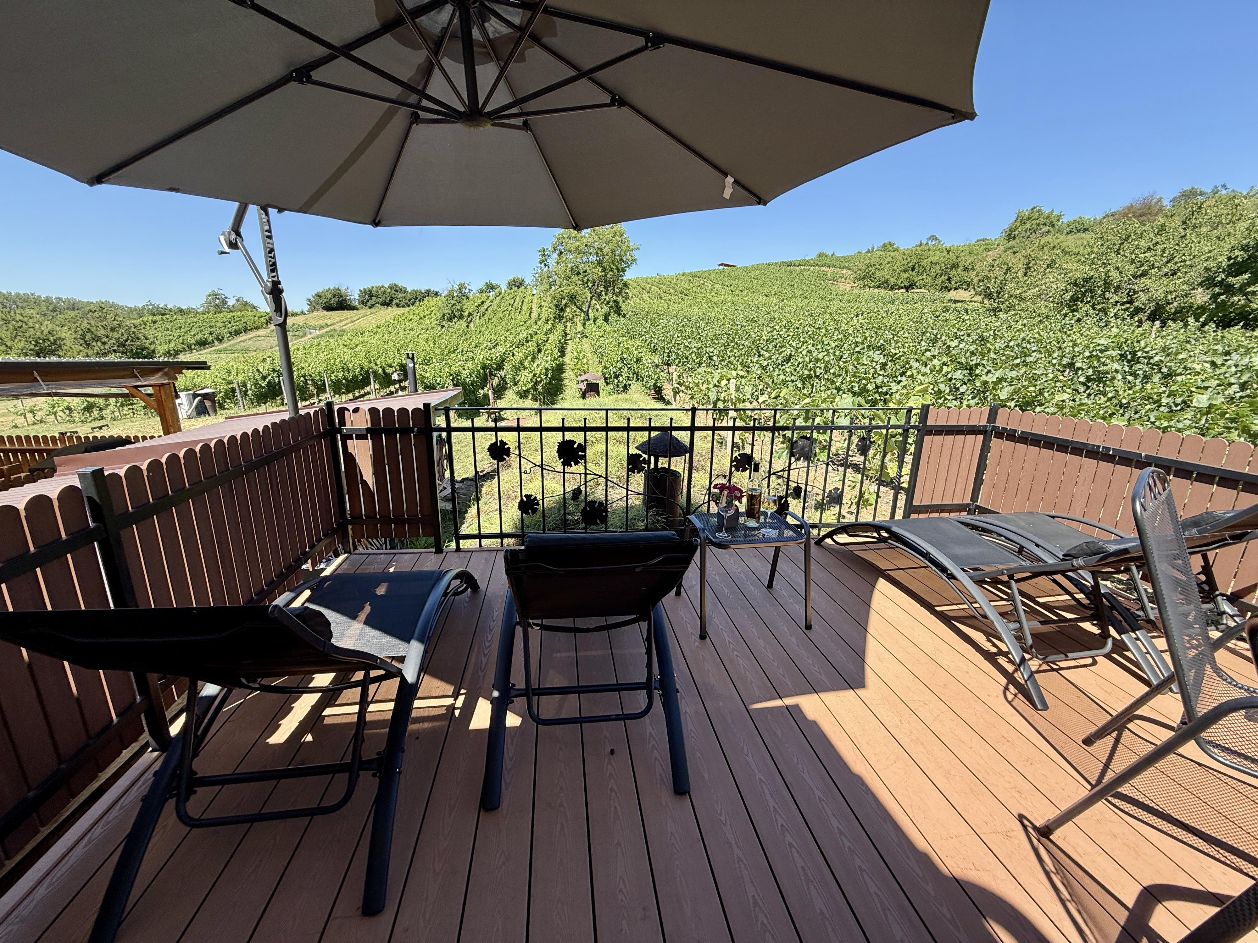 ARAWinery s.r.o. -  Vinařství a ubytování ARA I foto 6