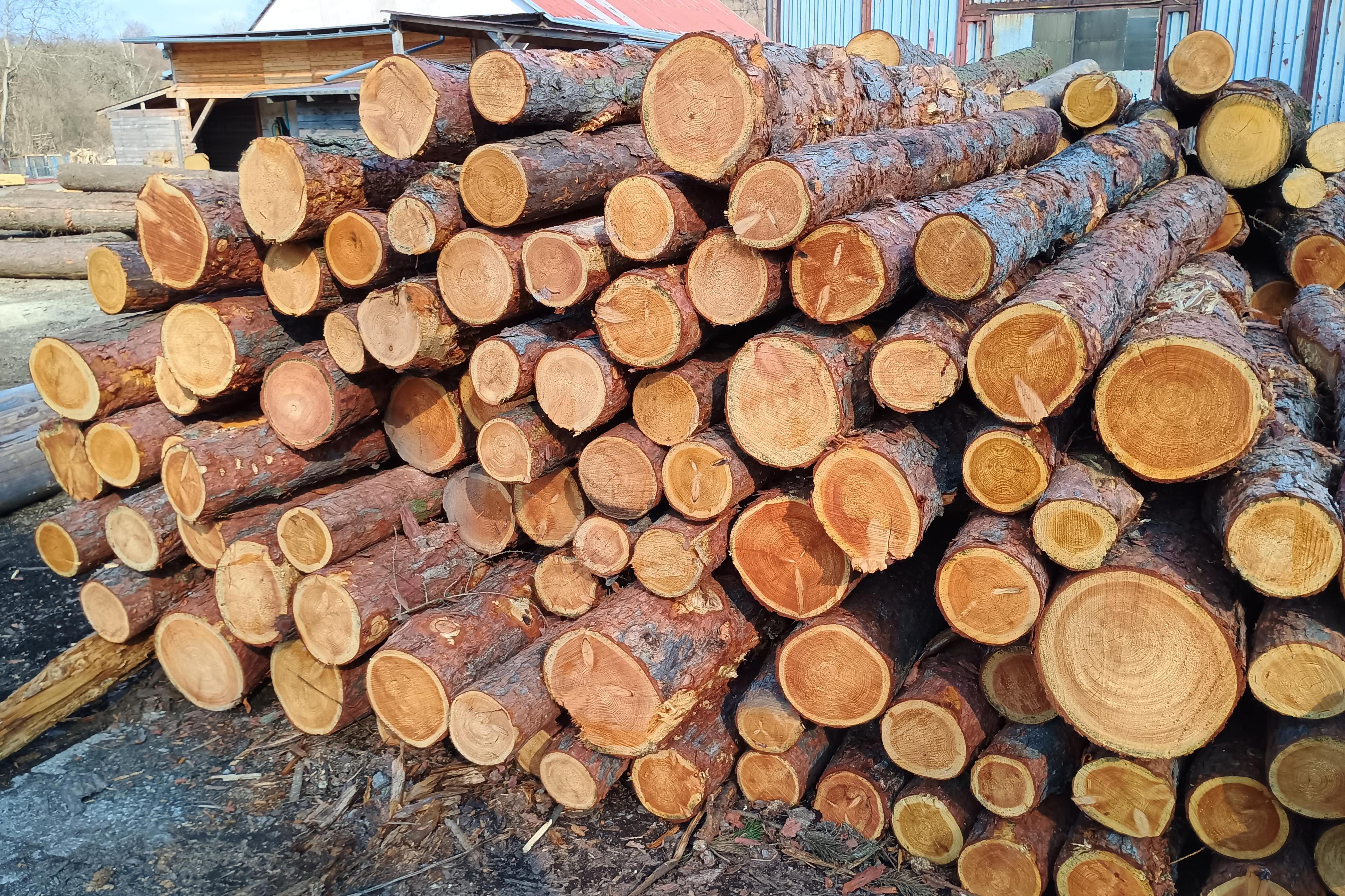 Pila Perštejn s.r.o.