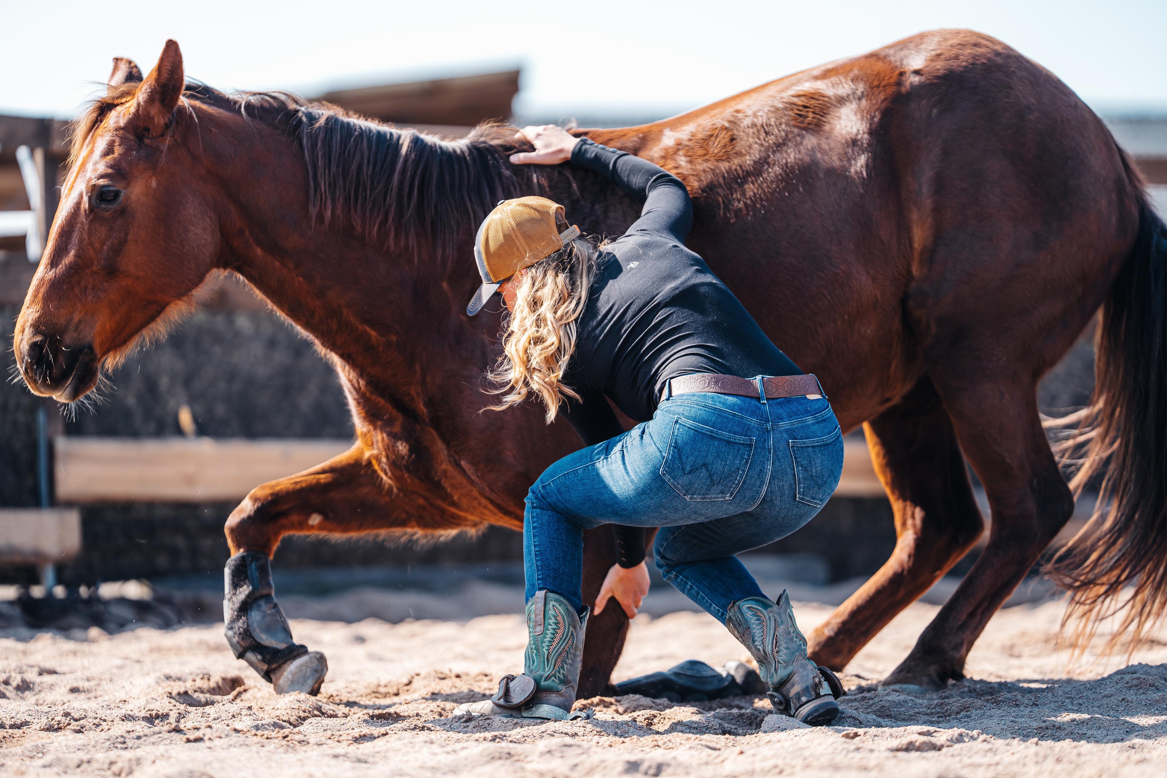 GKhorsemanship foto 6
