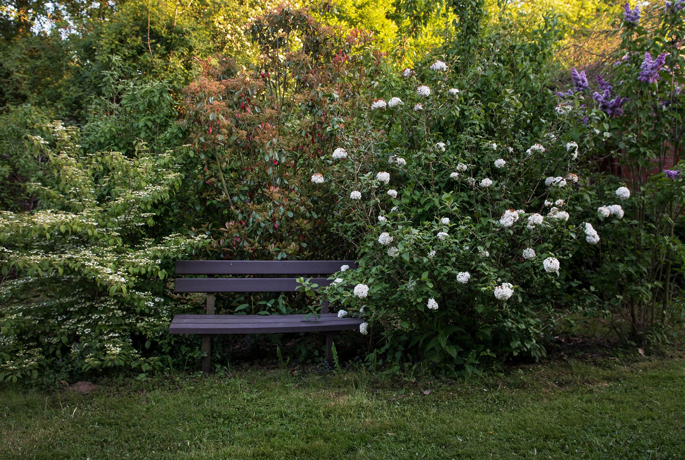 Světlo ve tmě s.r.o. foto 6