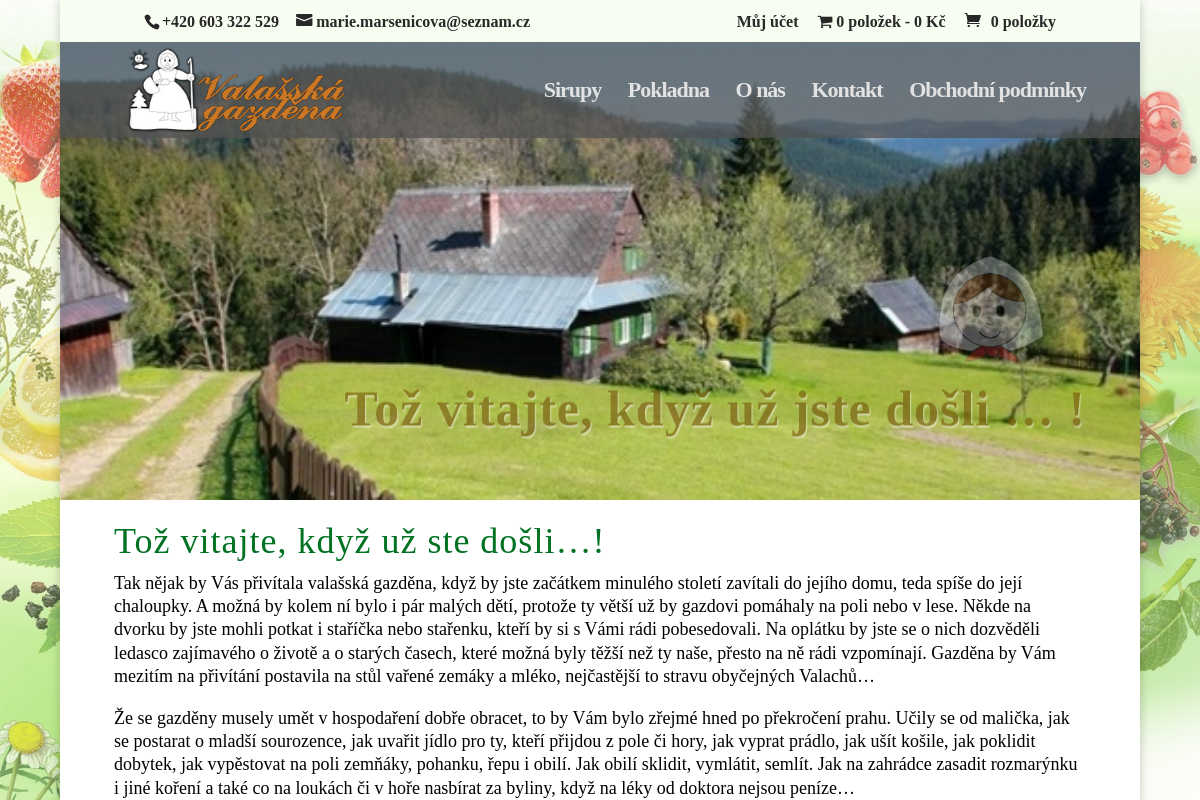 Ing. Marie Marsenić