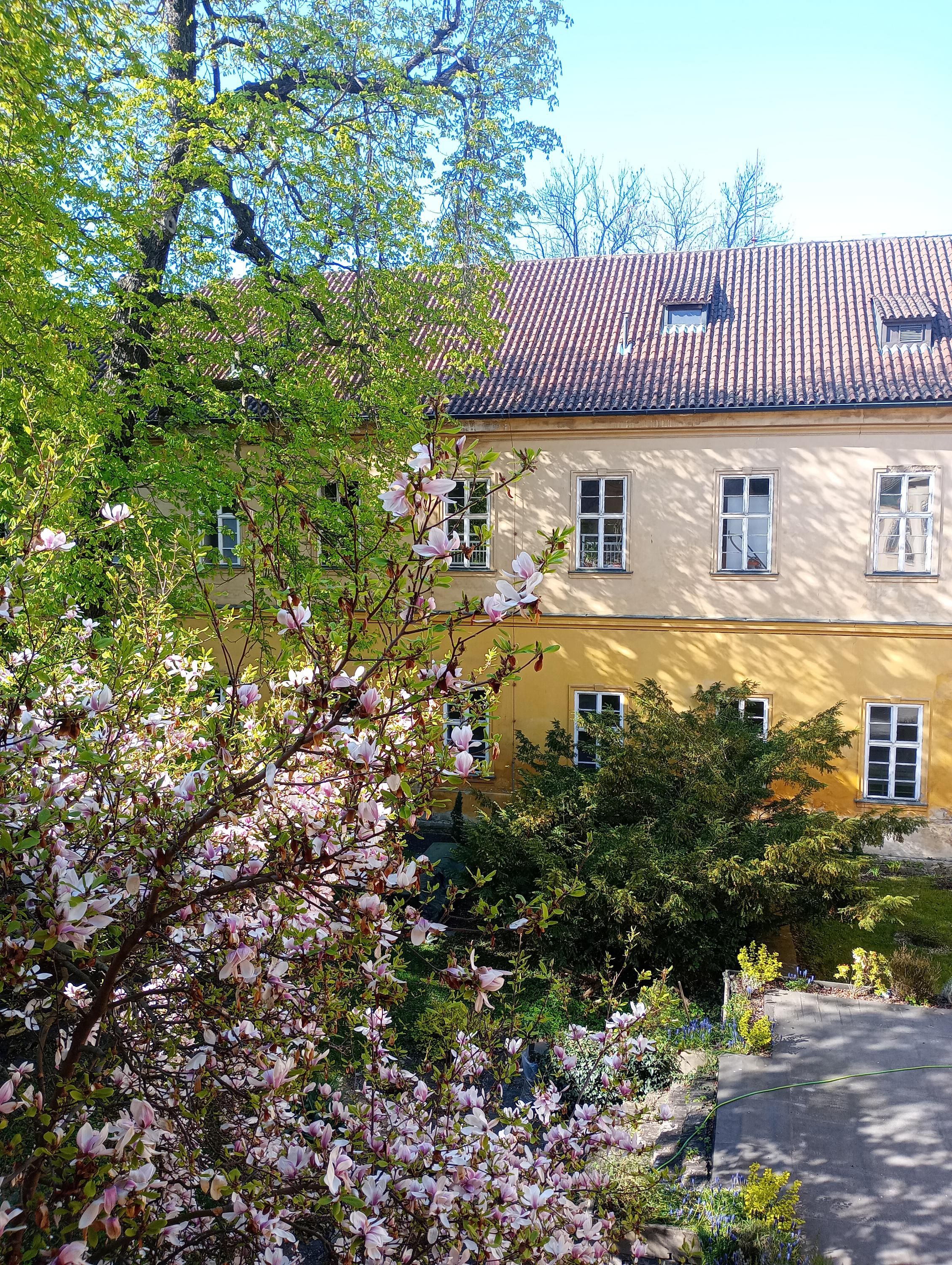 Neurologická klinika VFN a 1. LF UK foto 2