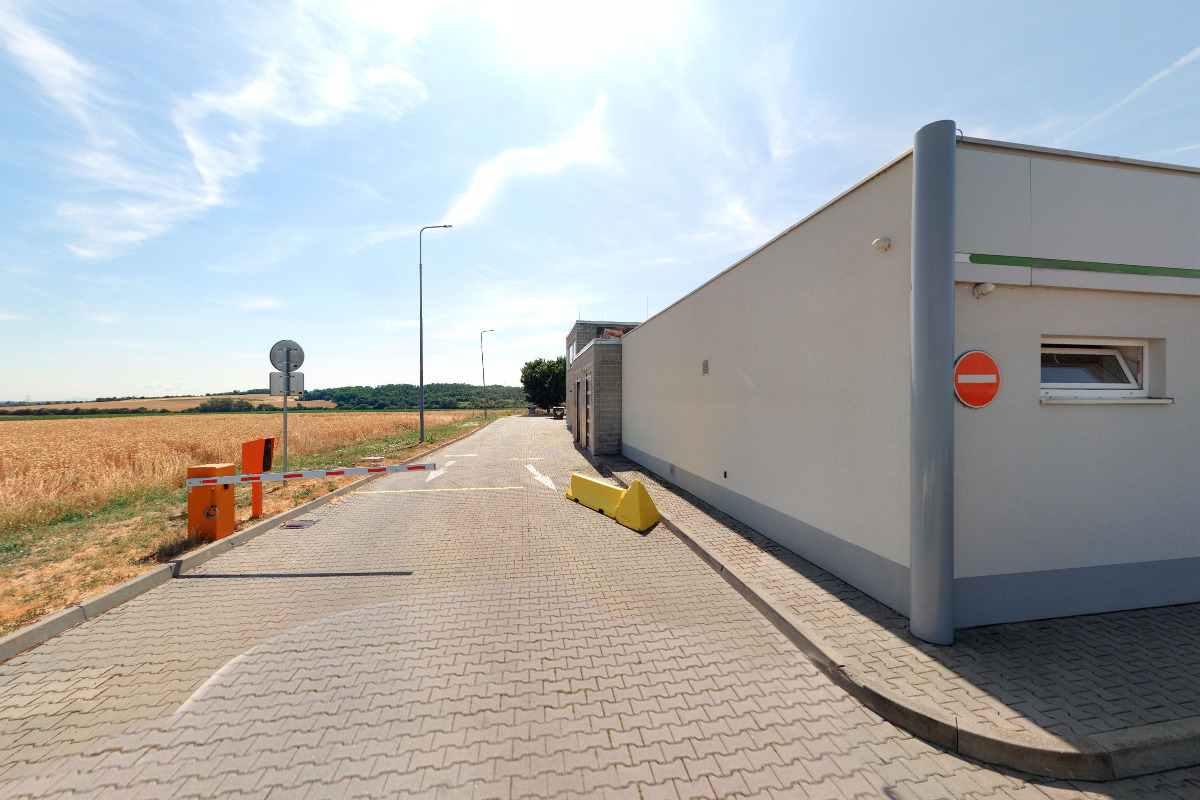 Roman Es Tattoo foto 5