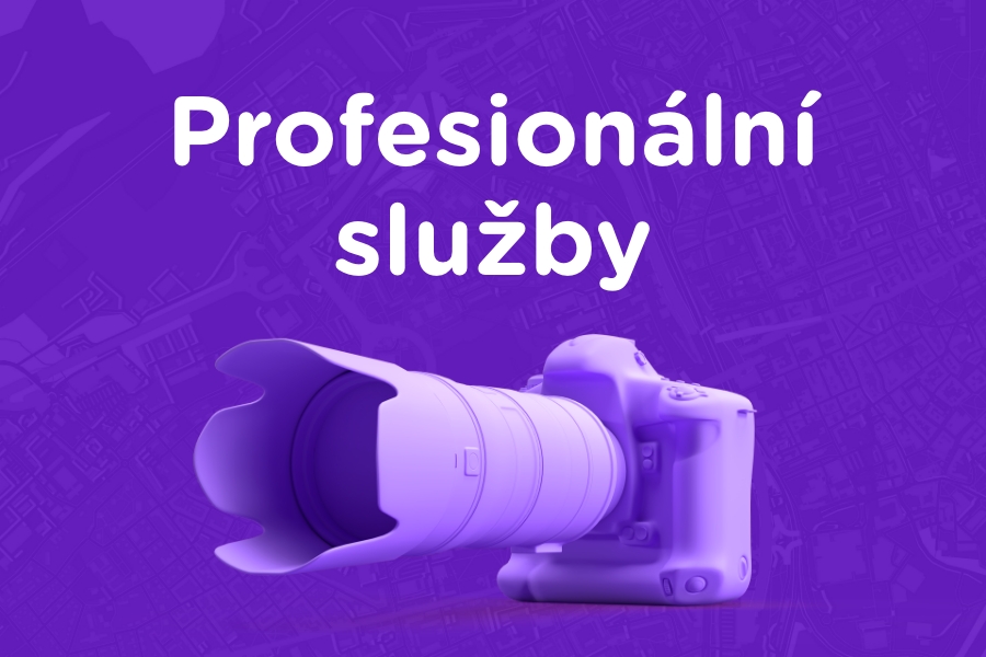 Profesionální služby