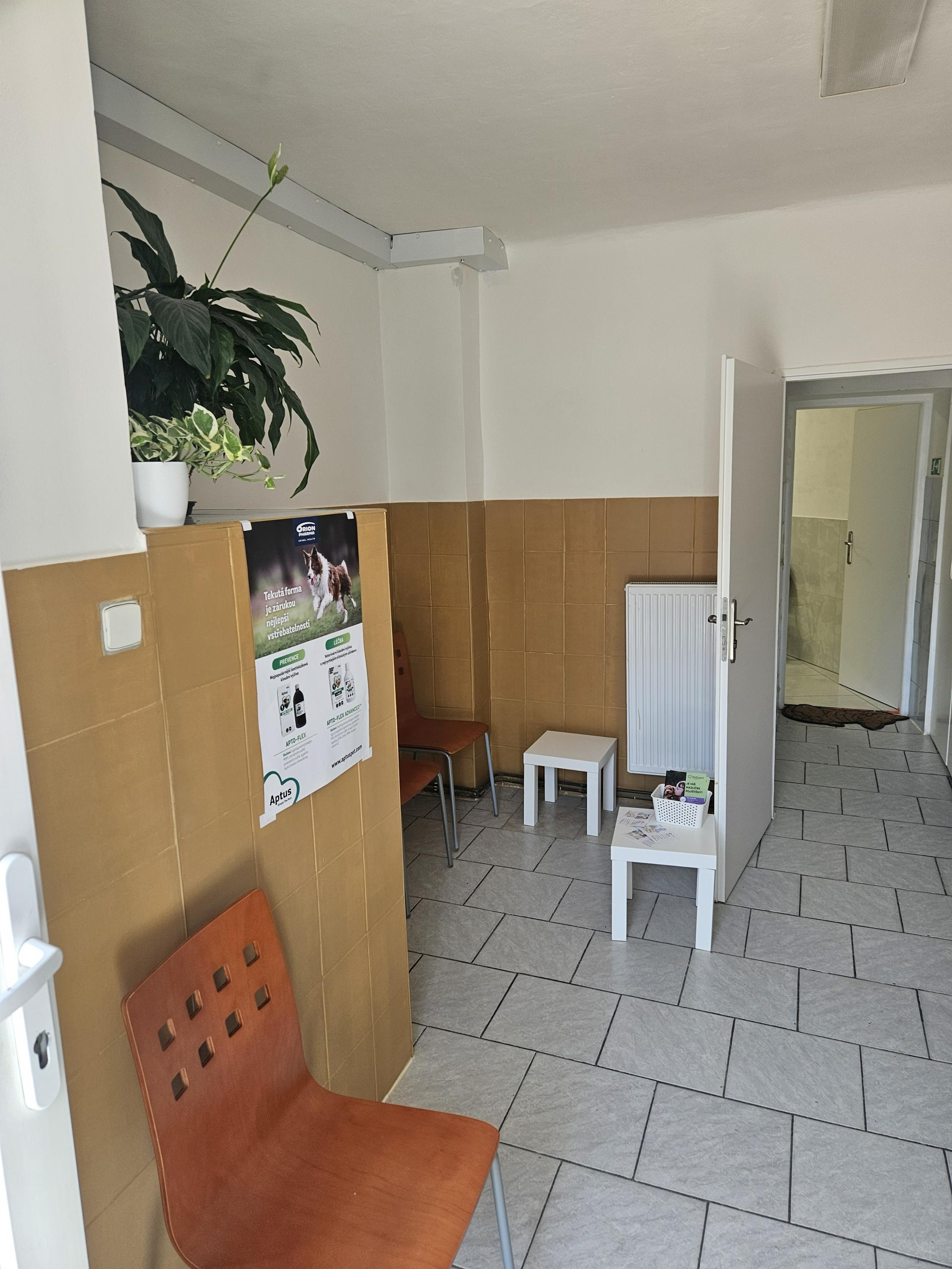 Veterina Čakovice MVDr Petra Dolejšová foto 4