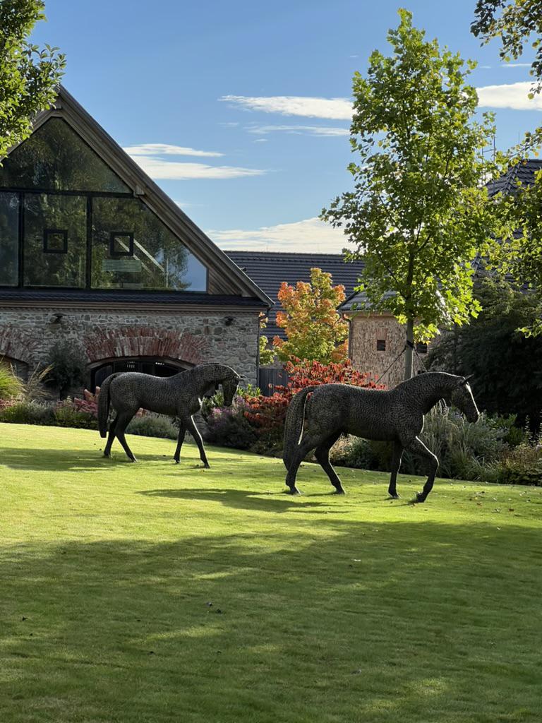 HORSE PARK KAMENNÝ DVŮR foto 3