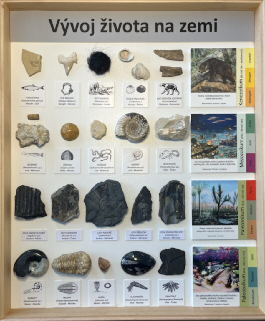 Kubacka NatureLAB s.r.o. foto 3