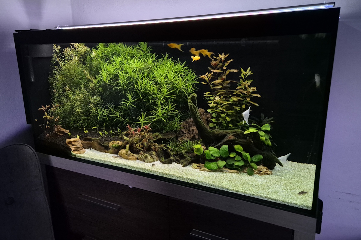minoreef foto 5