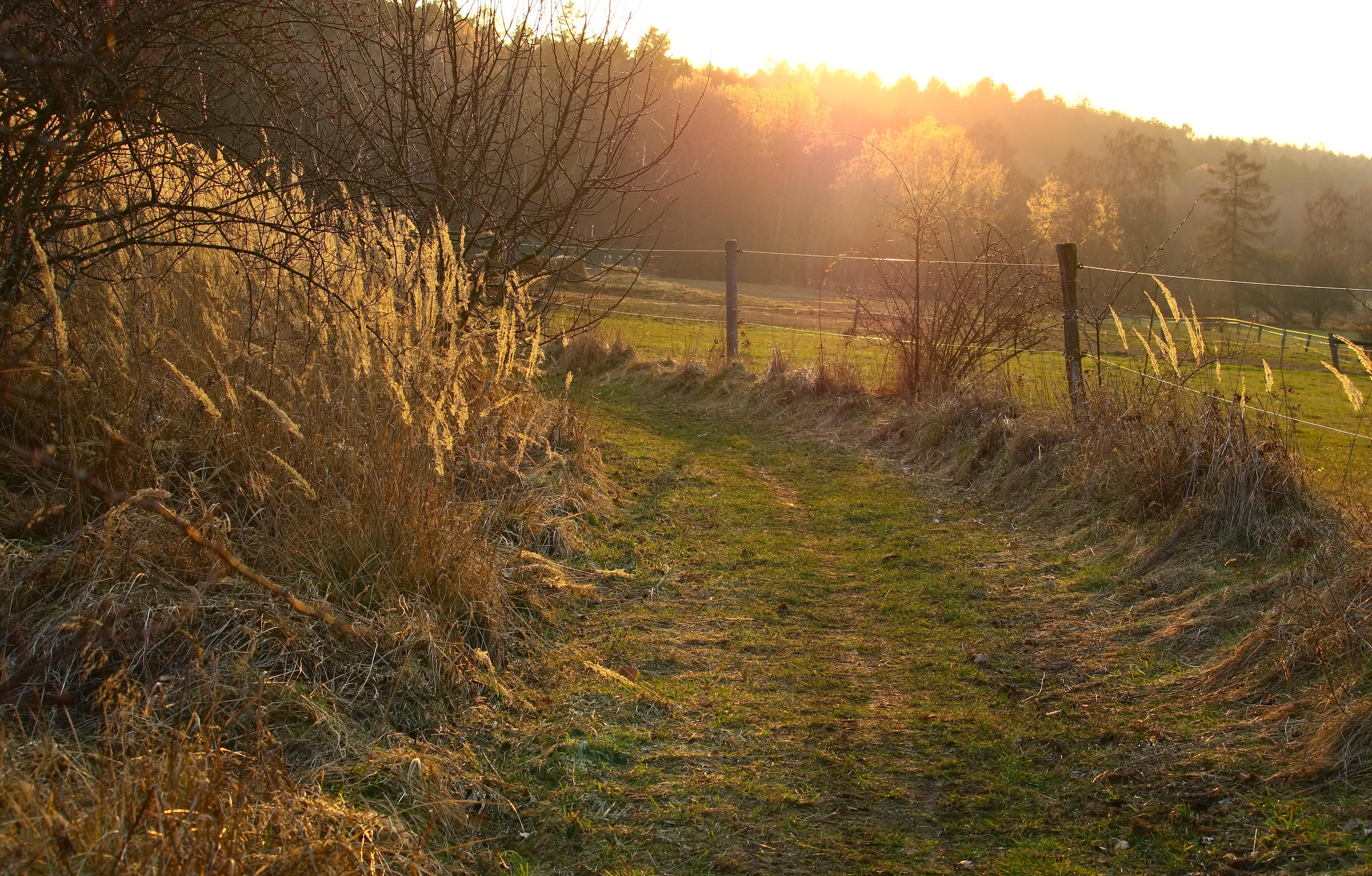 Ranč u Soudného potoka foto 4