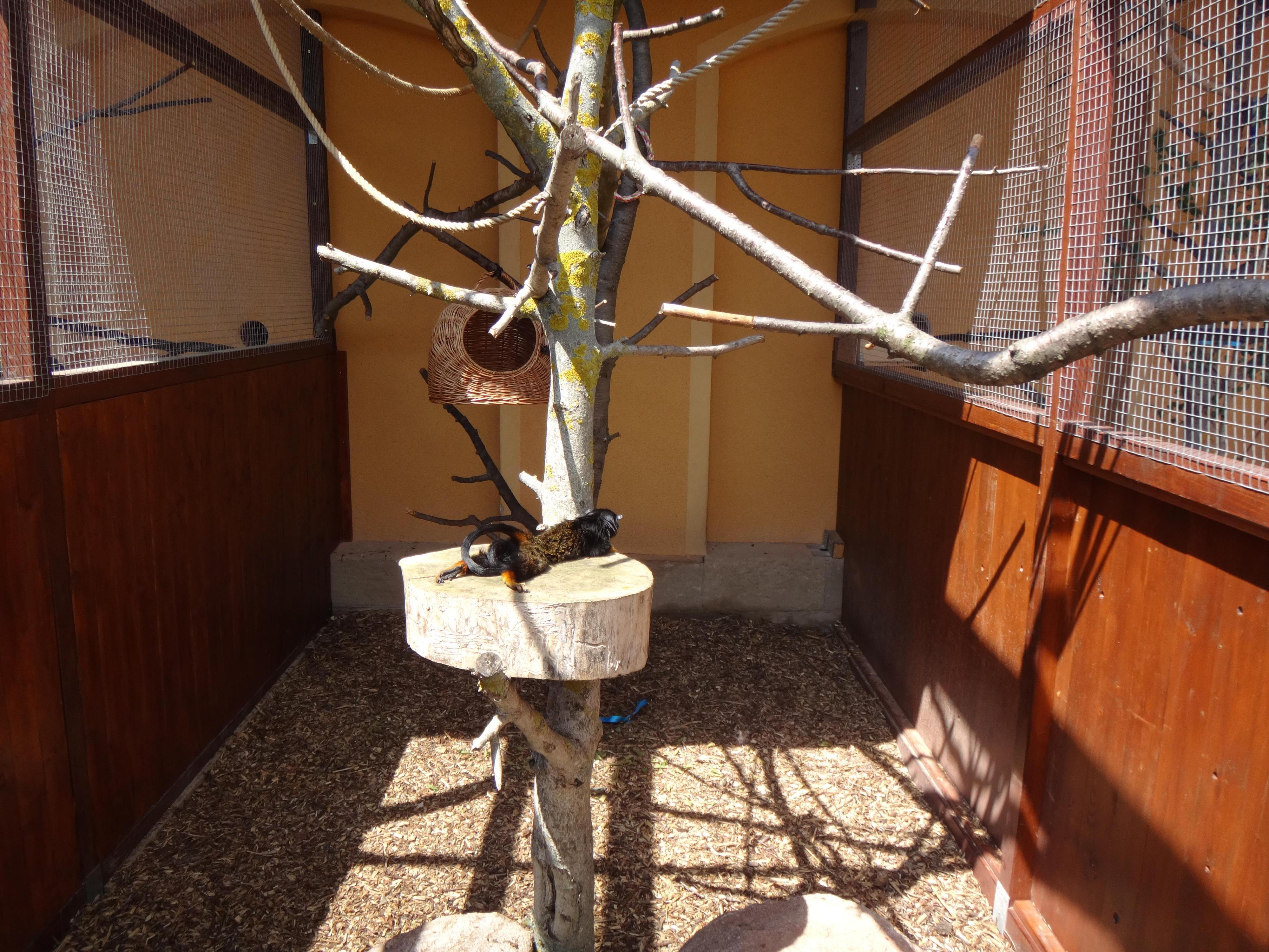 Dřevěná Exotika na ranči Bítovany foto 5