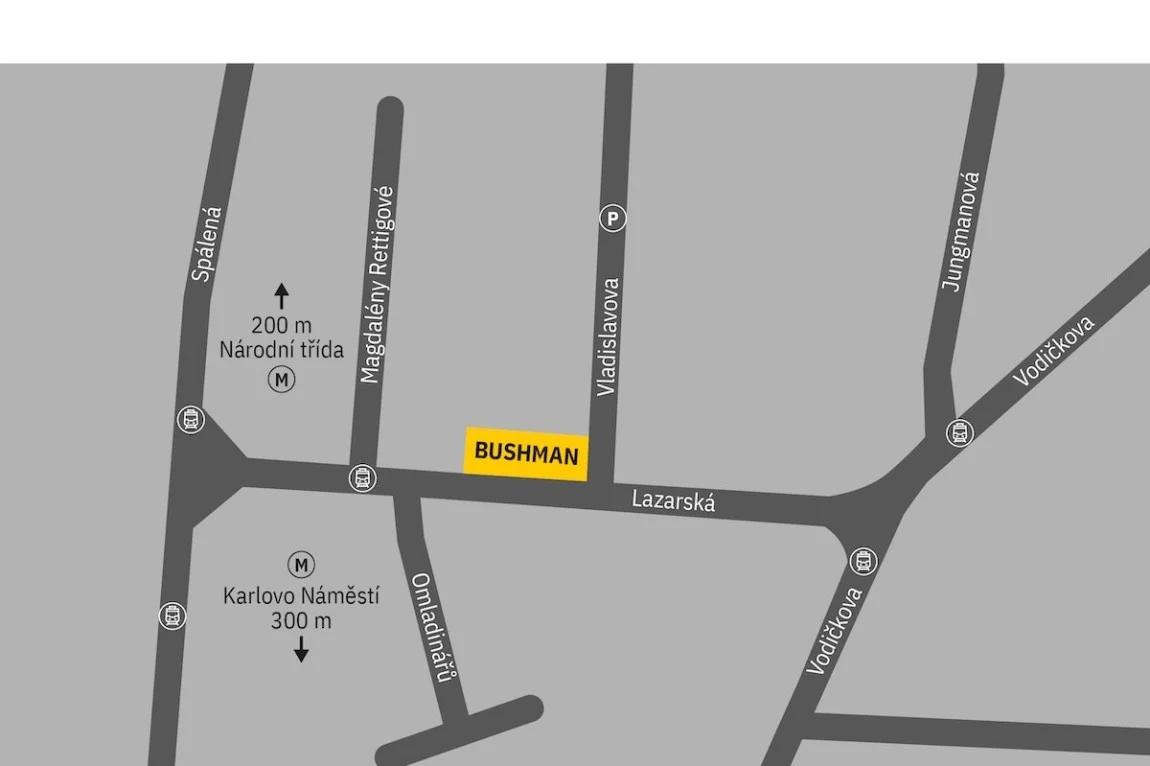 BUSHMAN foto 2