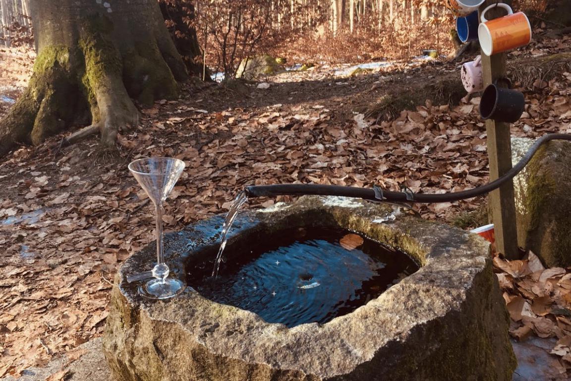 Sleva 40% ze vstupní konzultace autopatie - online