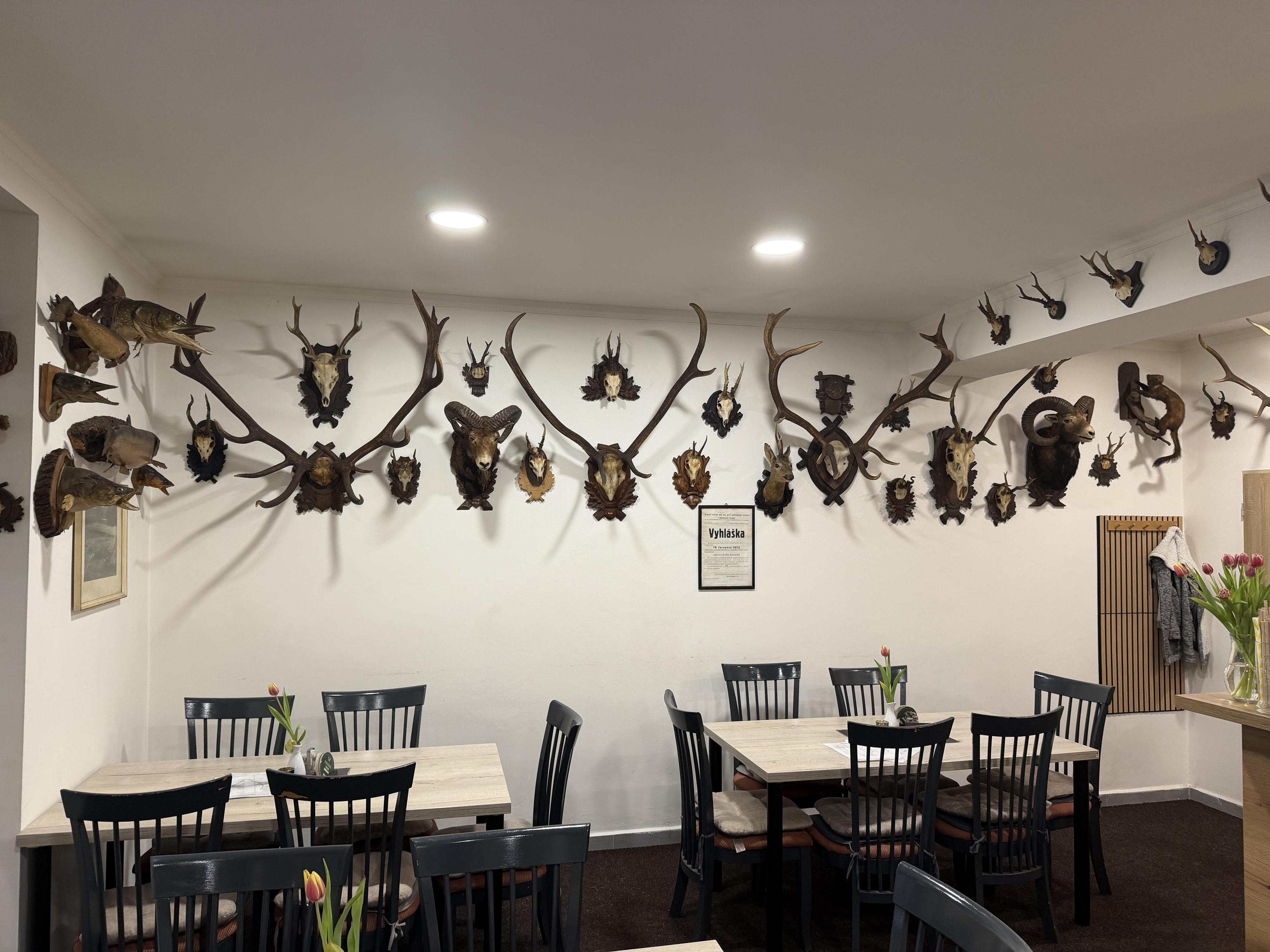 Bistro Kladská foto 5