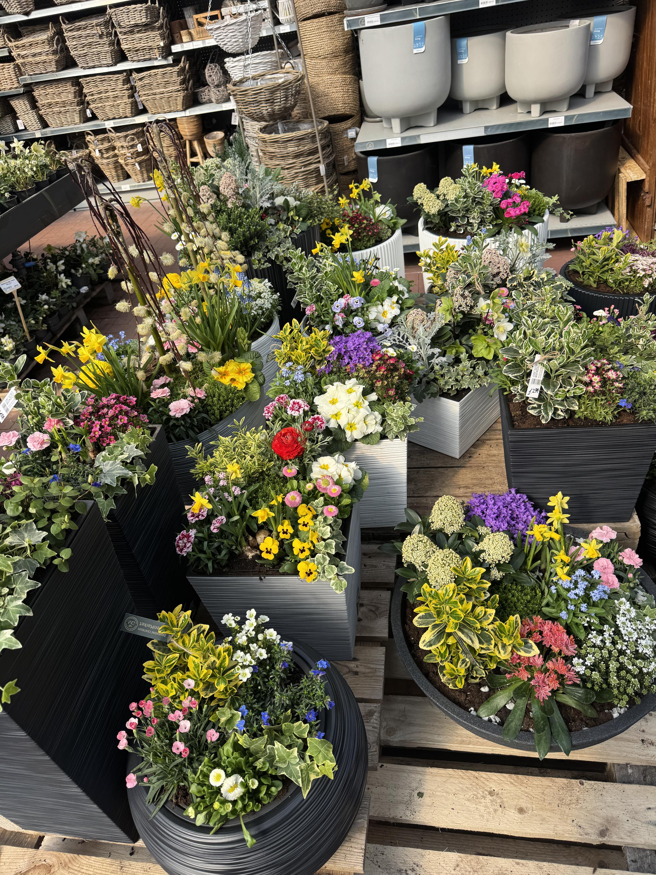GardenMarket, s.r.o. foto 4