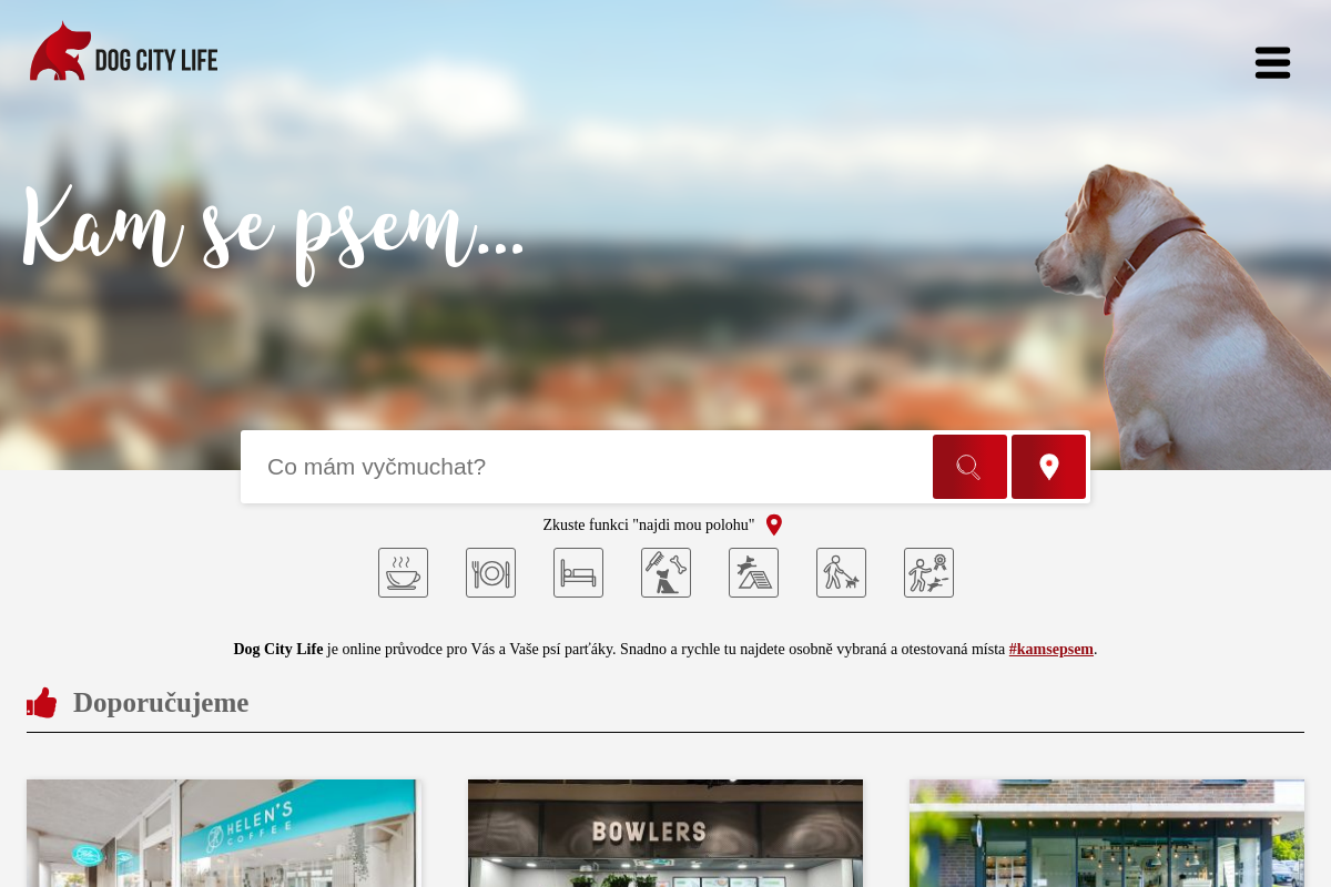 DOG CITY LIFE foto 1