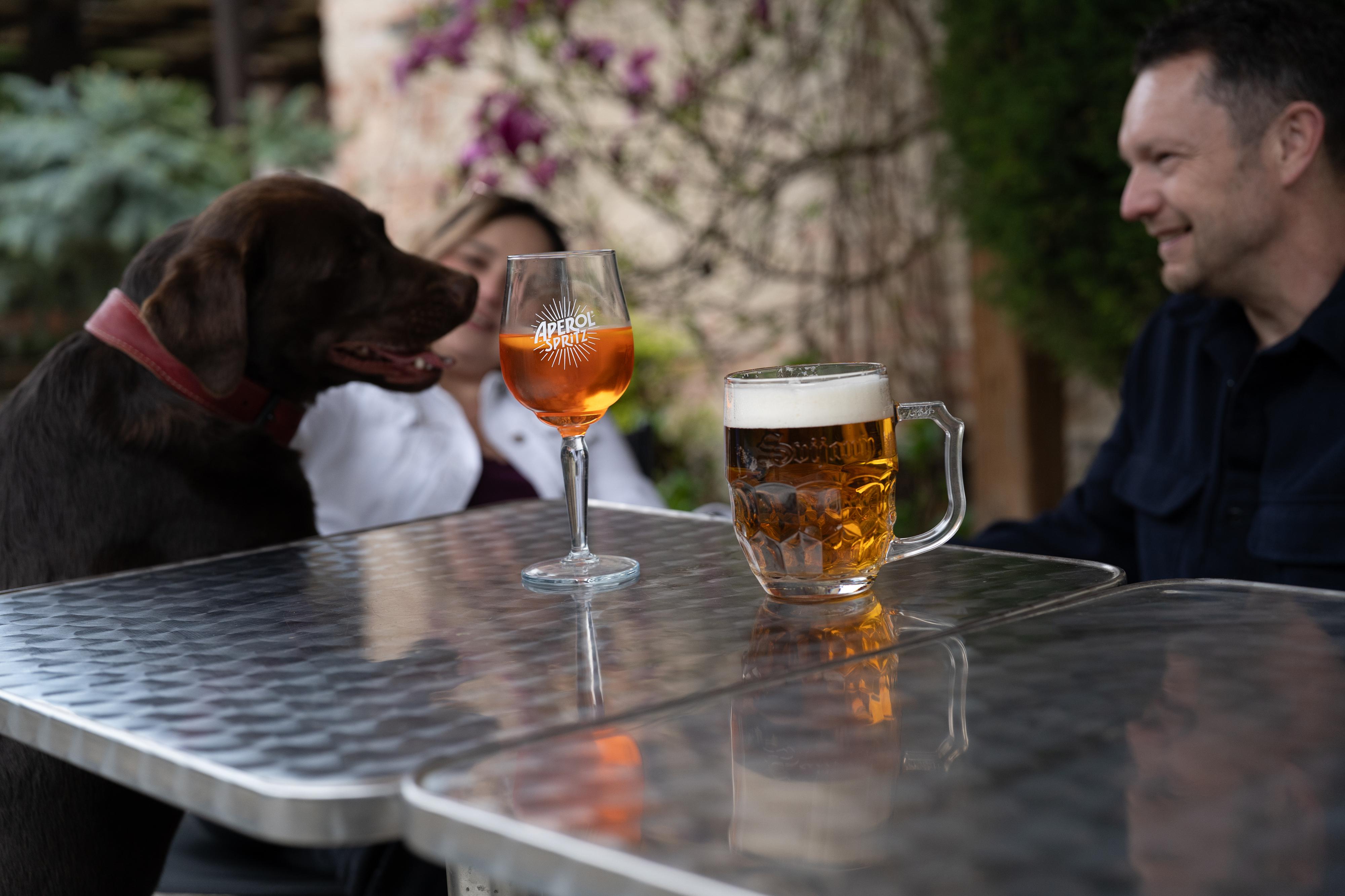 Splněný sen - penzion Pavlovice foto 3