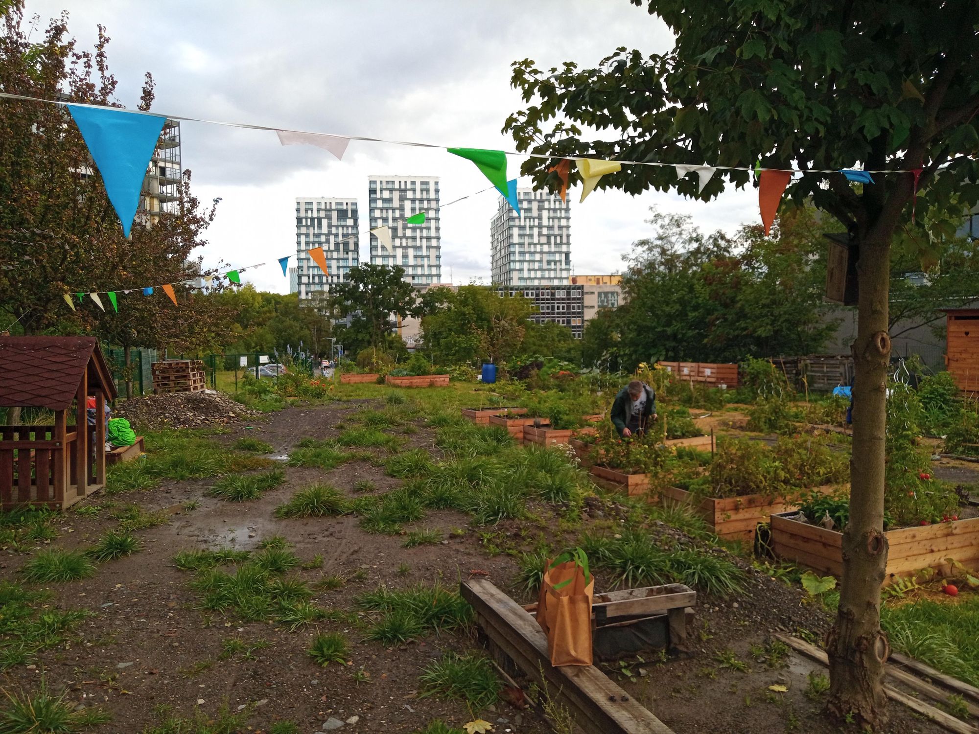 Žižkovská zahrádka foto 2