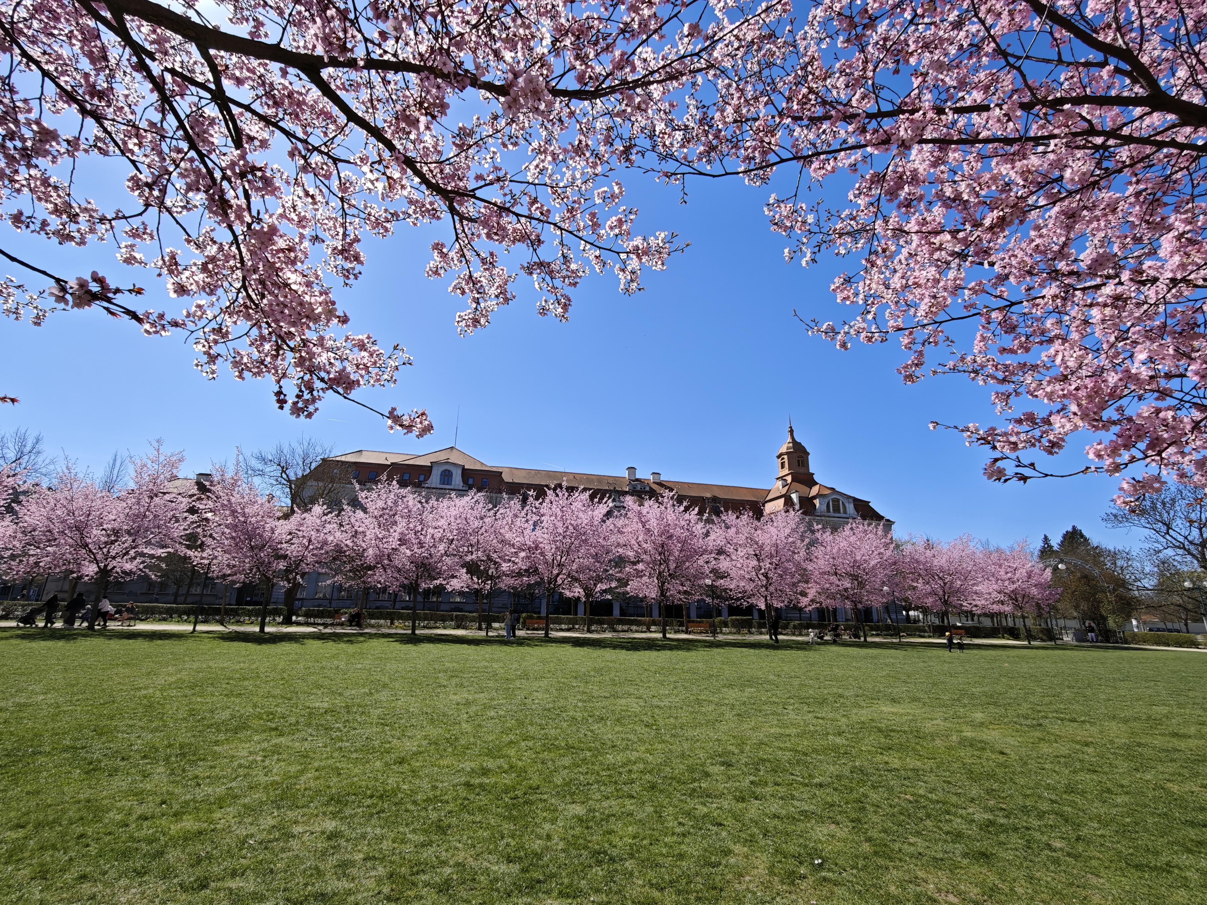 Gymnázium Plzeň, Mikulášské náměstí foto 5
