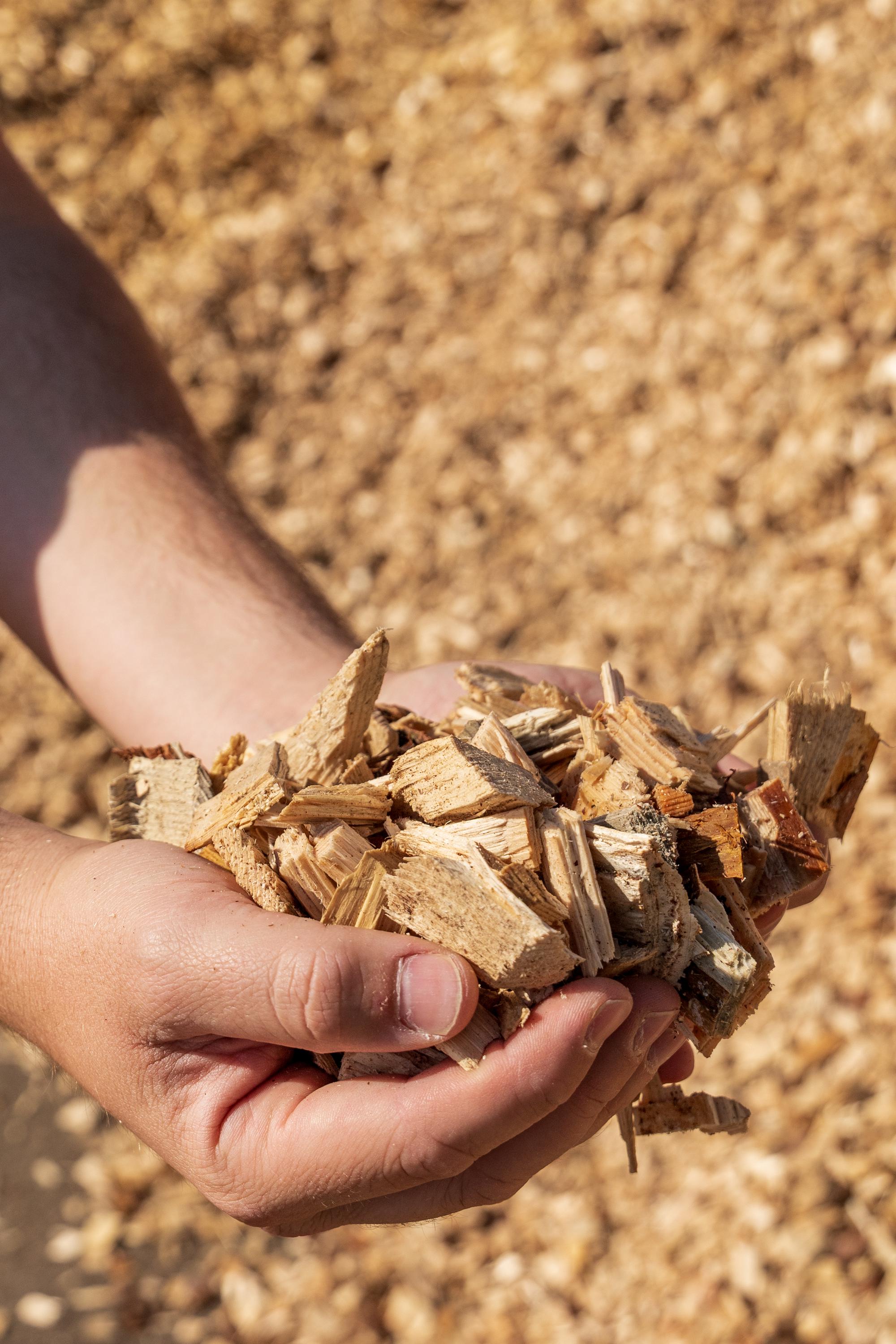 Pila Křemže - ENERGOFOREST s.r.o. foto 3
