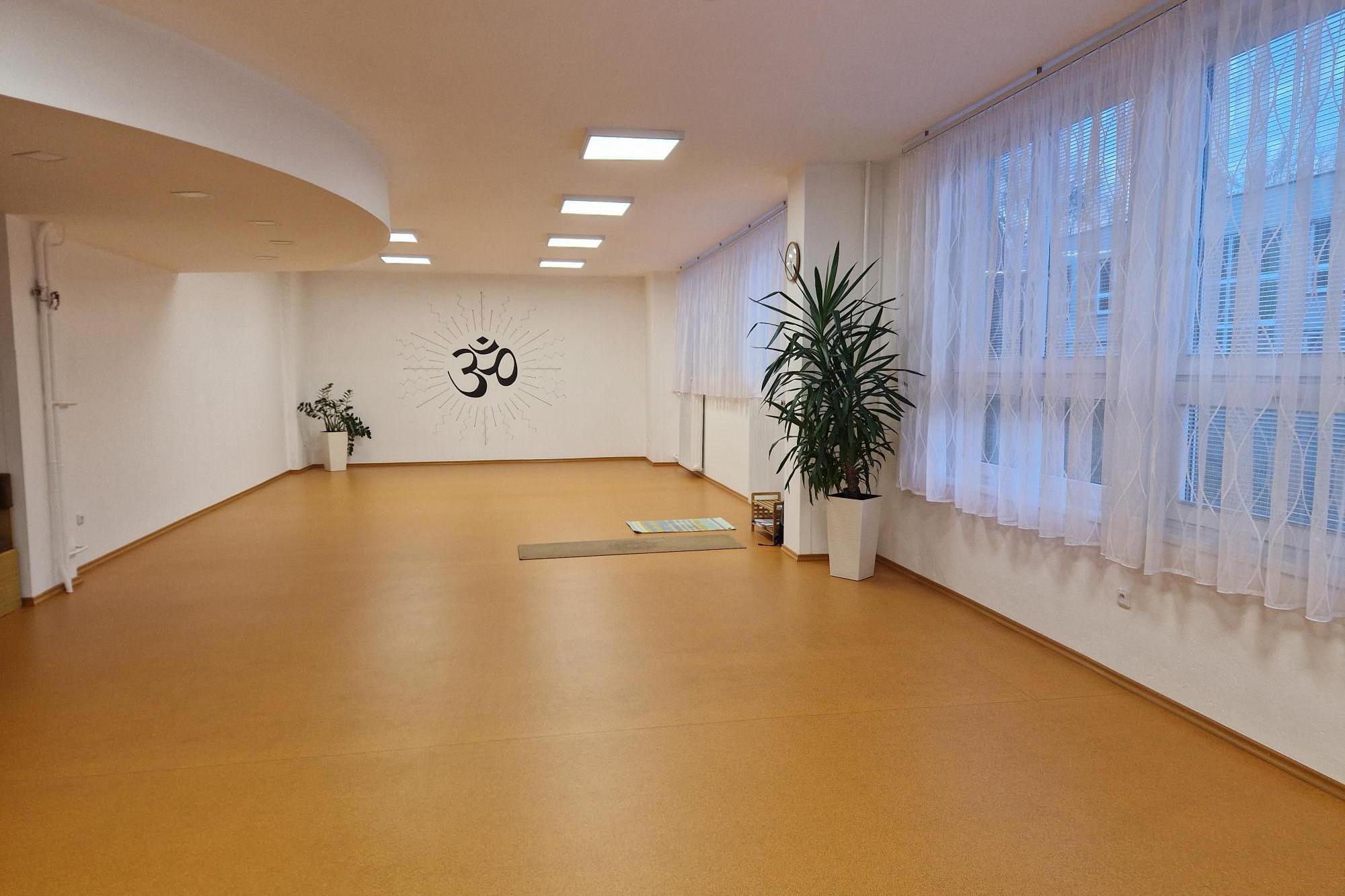 Jóga - Hana Zíková